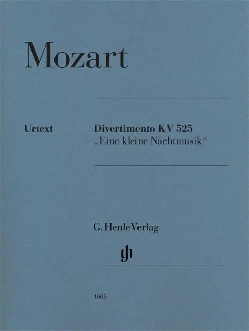 Cover: 9790201810058 | Divertimento 'Eine Kleine Nachtmusik' K.525 | Wolf-Dieter Seiffert