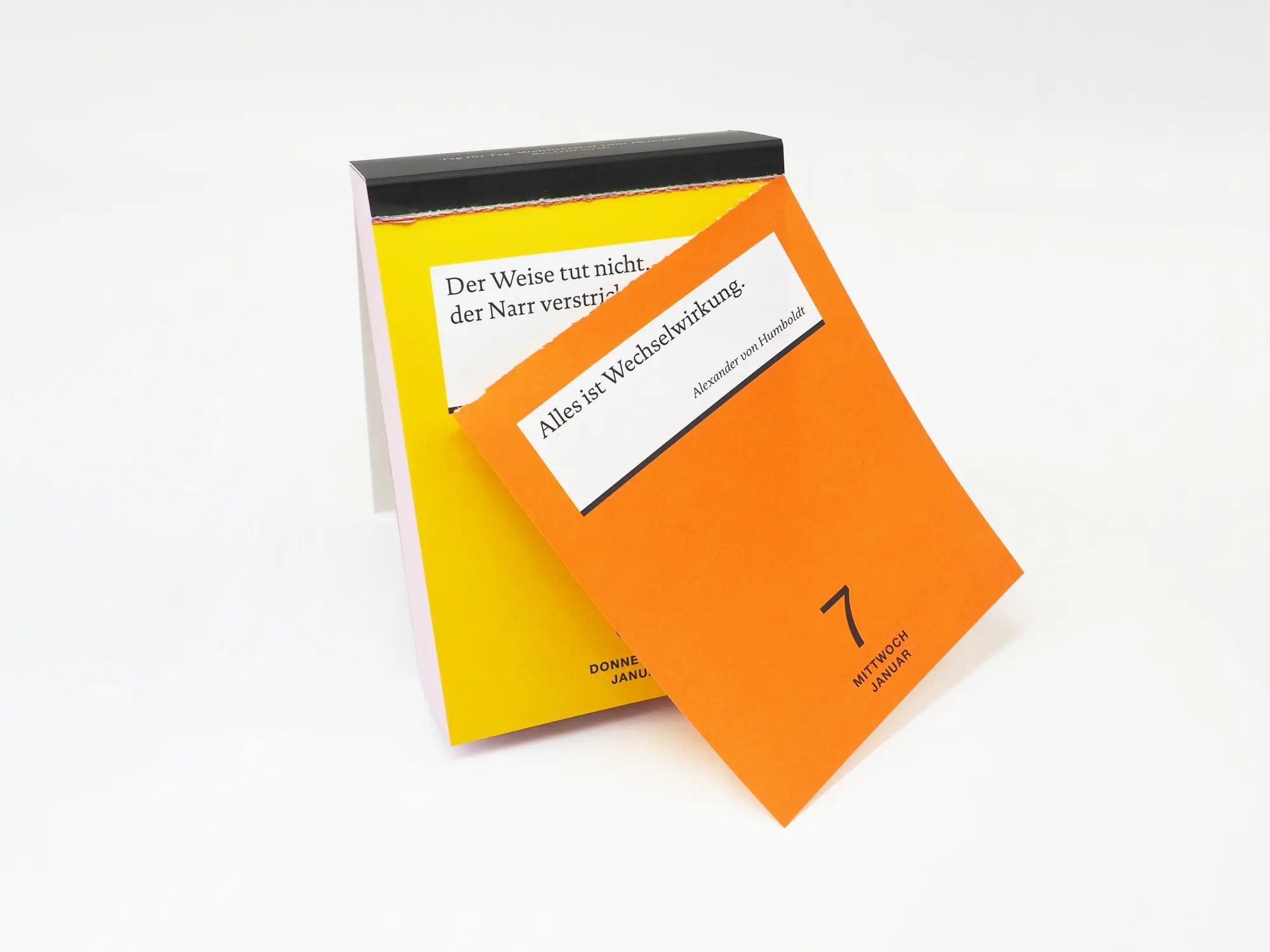 Bild: 4262461870158 | Tag für Tag. Weltliteratur zum Abreißen 2026 | Kalender | 733 S.