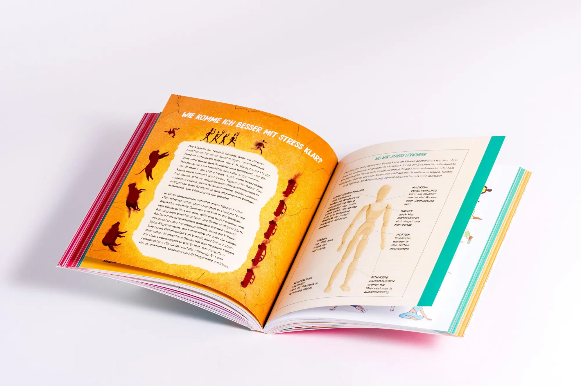 Bild: 9783442180158 | Warum reden wir nicht darüber?! | Hazel Mead | Taschenbuch | 224 S.