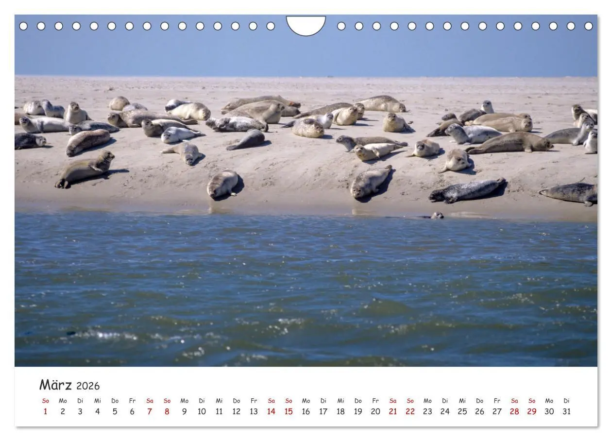 Bild: 9783457330258 | Nordsee, Meer, Strand und Wind (Wandkalender 2026 DIN A4 quer),...