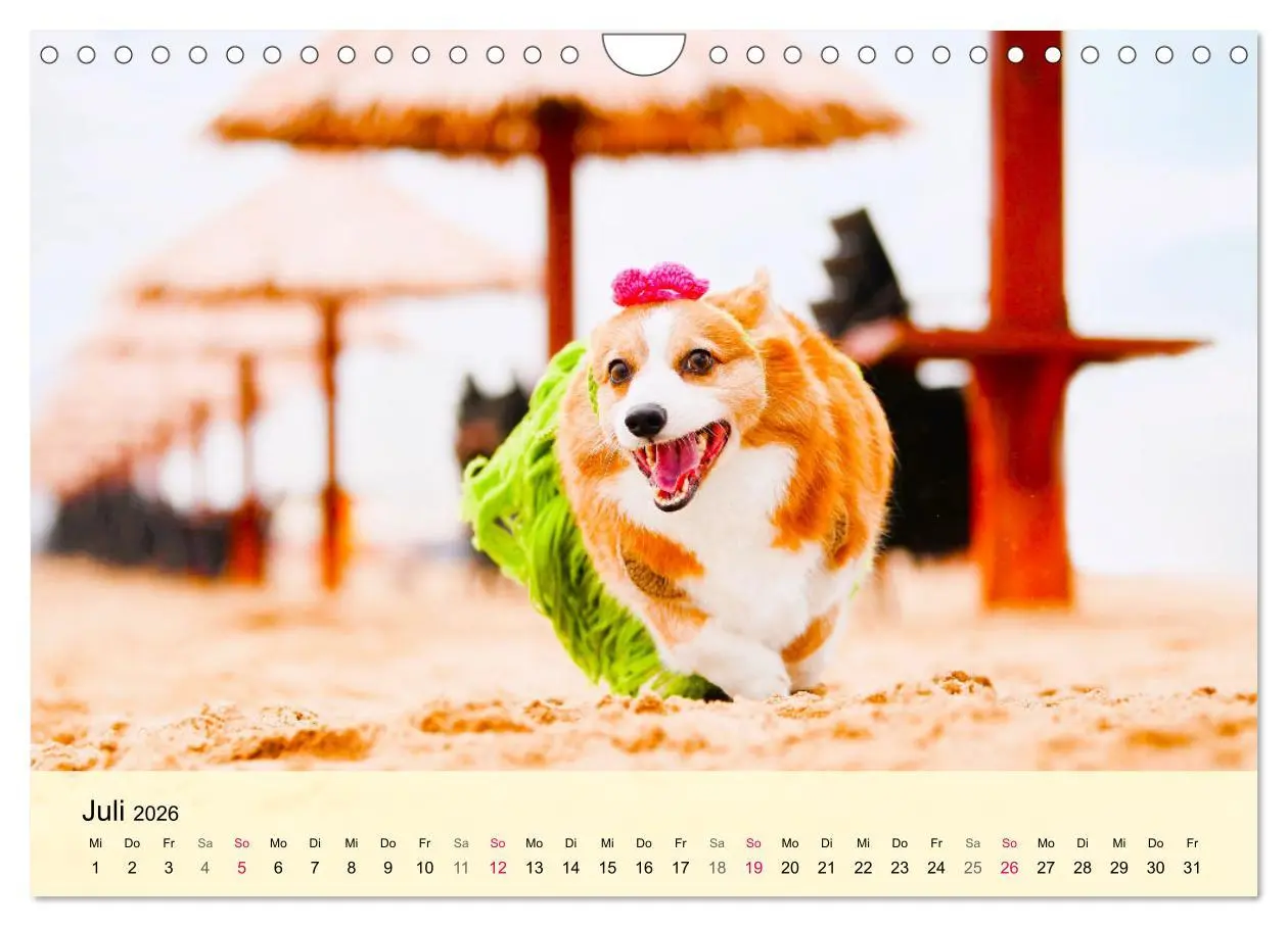 Bild: 9783457570258 | Welsh Corgi. Zauberhafter Dickkopf auf kurzen Beinen (Wandkalender...