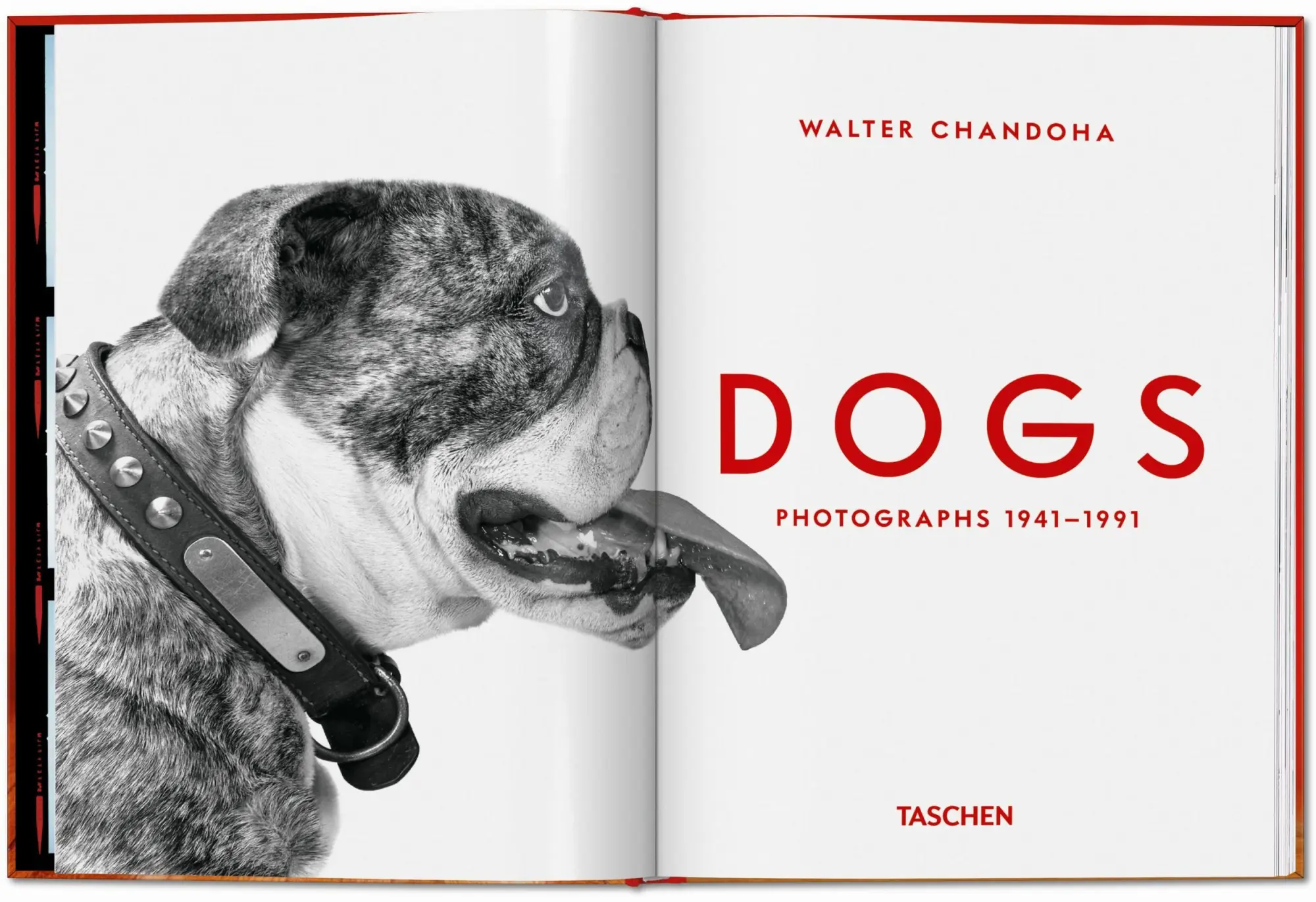 Bild: 9783754400258 | Walter Chandoha. Dogs. Photographs 1941-1991 | Reuel Golden | Buch