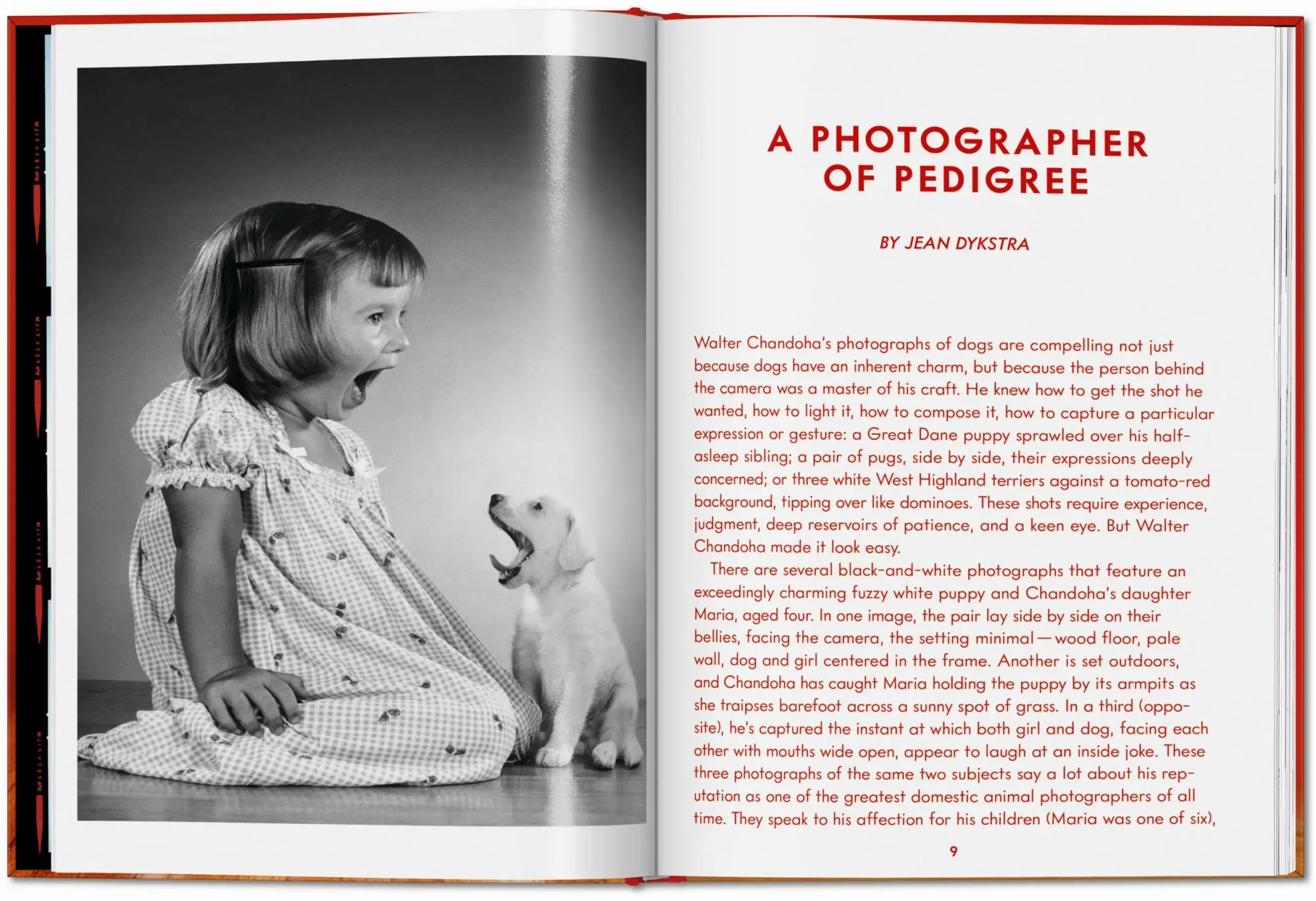 Bild: 9783754400258 | Walter Chandoha. Dogs. Photographs 1941-1991 | Reuel Golden | Buch