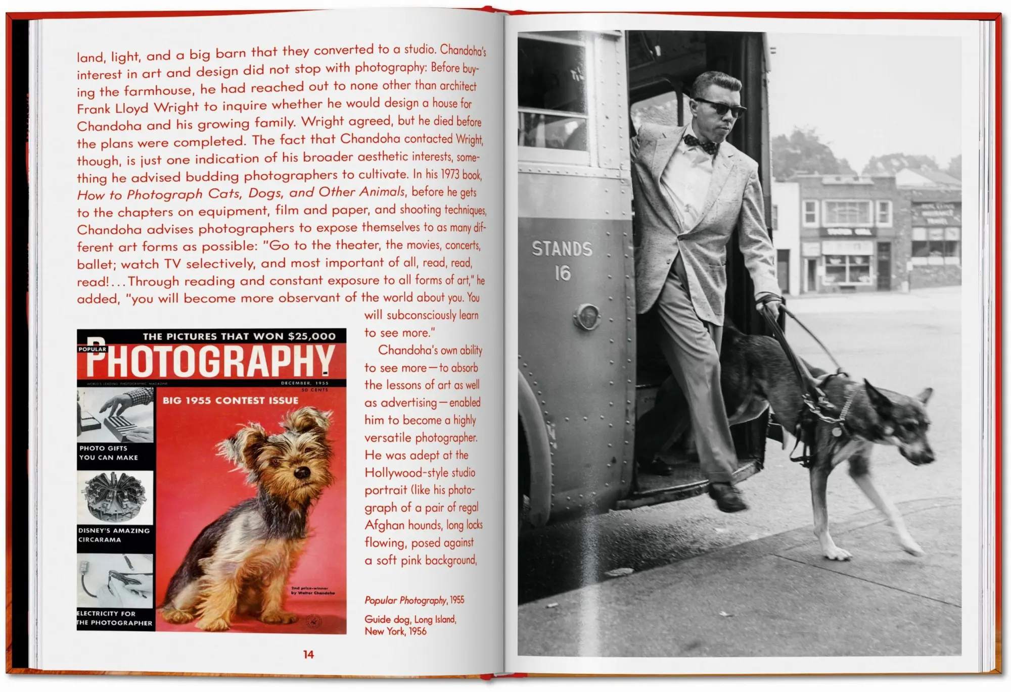 Bild: 9783754400258 | Walter Chandoha. Dogs. Photographs 1941-1991 | Reuel Golden | Buch