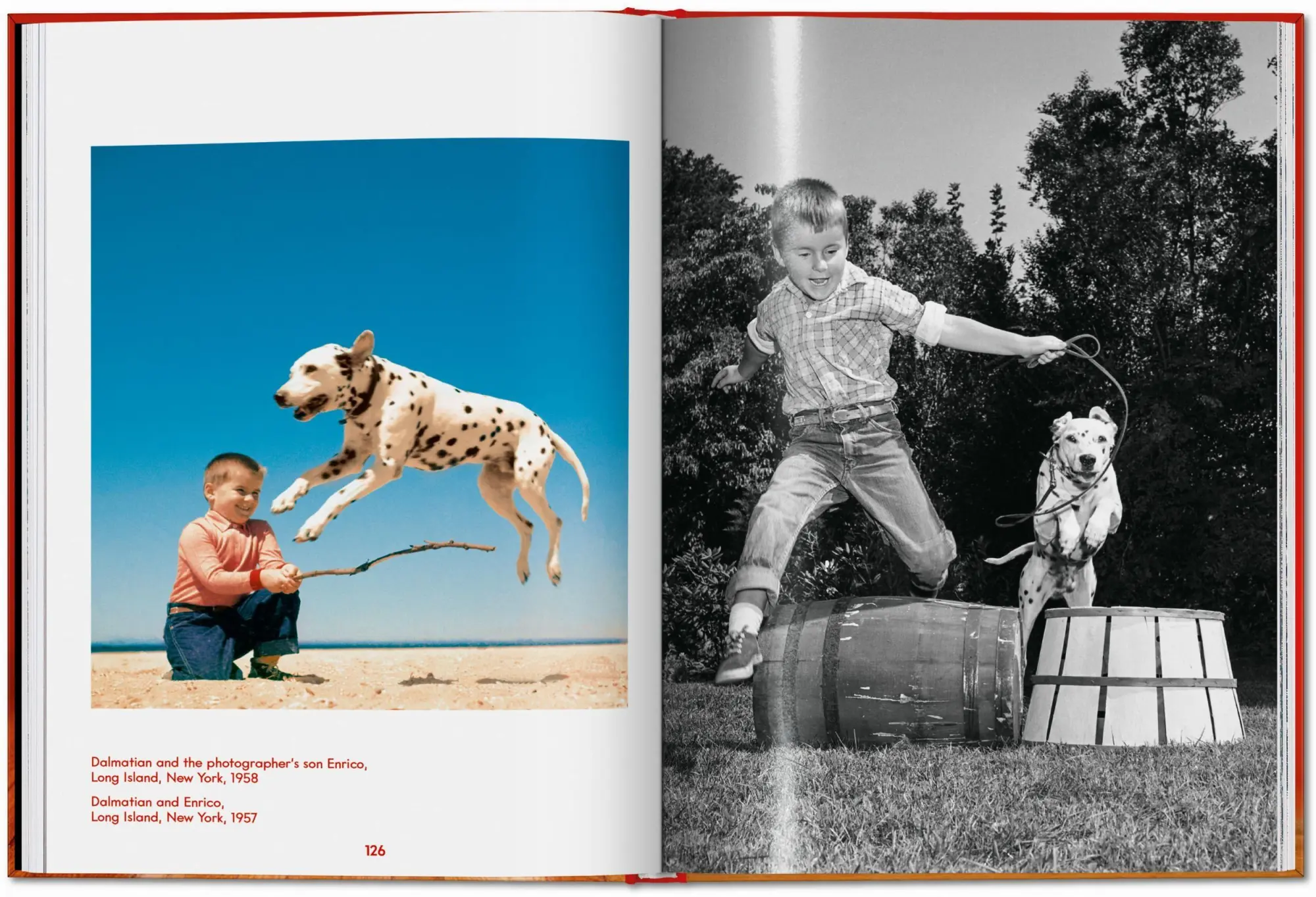 Bild: 9783754400258 | Walter Chandoha. Dogs. Photographs 1941-1991 | Reuel Golden | Buch