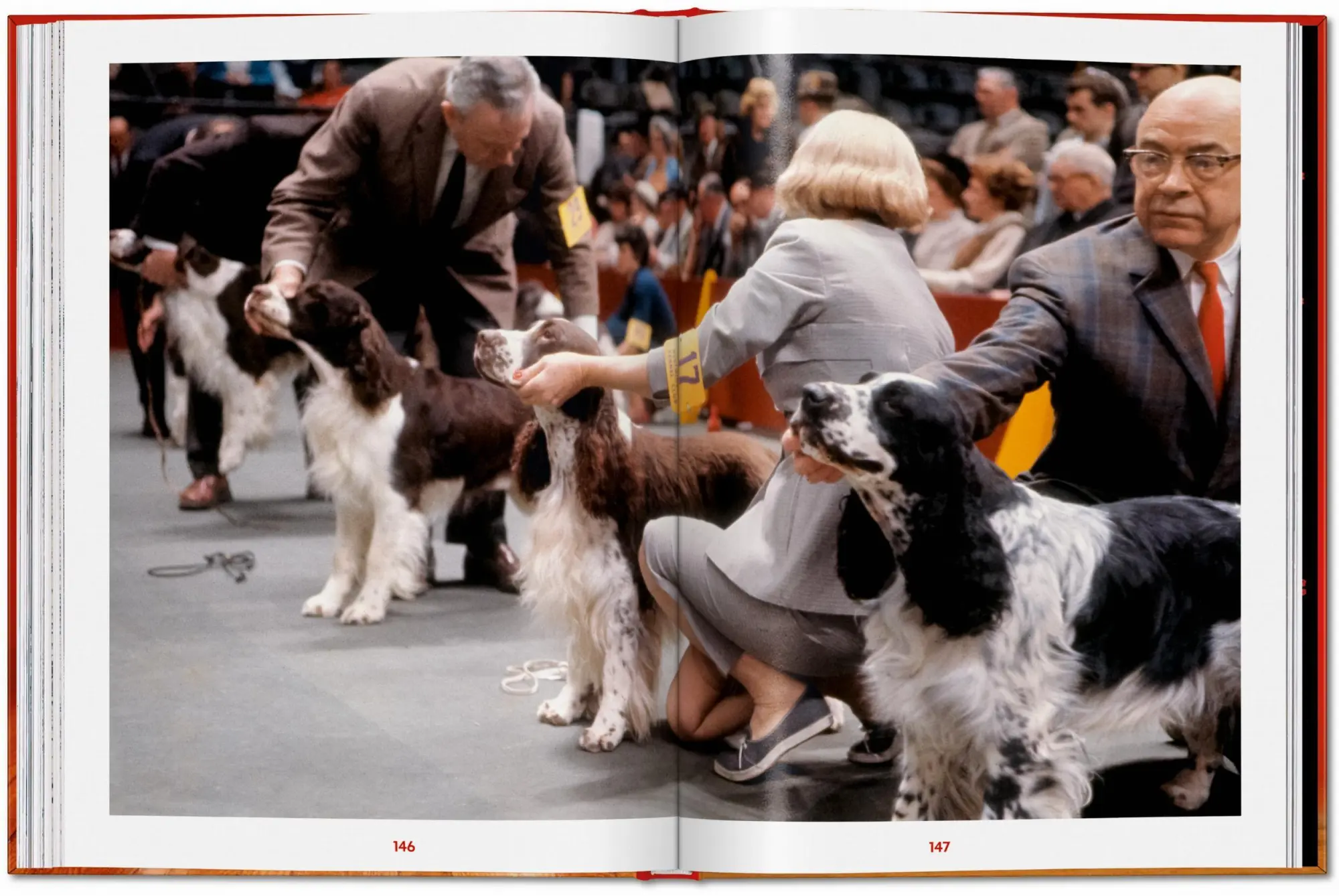 Bild: 9783754400258 | Walter Chandoha. Dogs. Photographs 1941-1991 | Reuel Golden | Buch