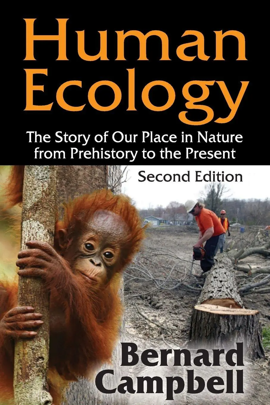 Cover: 9780202020358 | Human Ecology | Bernard Campbell | Taschenbuch | Englisch | 1995