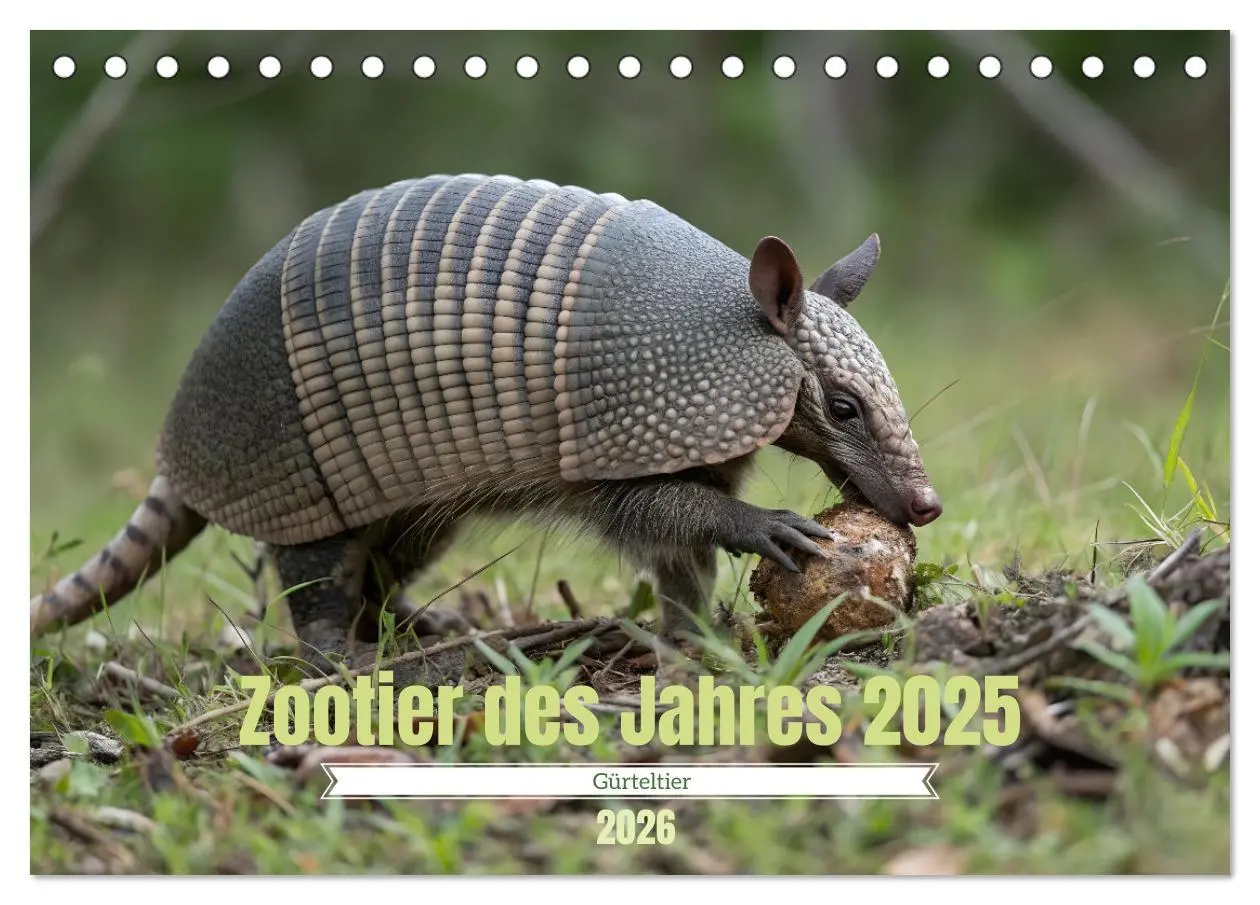 Cover: 9783457250358 | Zootier des Jahres 2025 - Gürteltier (Tischkalender 2026 DIN A5...