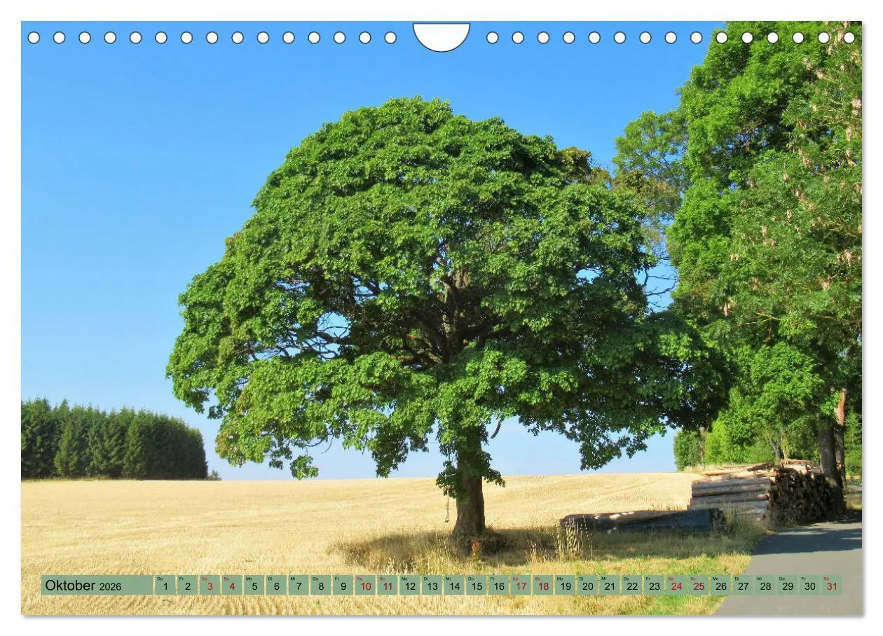 Bild: 9783457560358 | Frankenwald - Wandern in Oberfranken und Thüringen (Wandkalender...