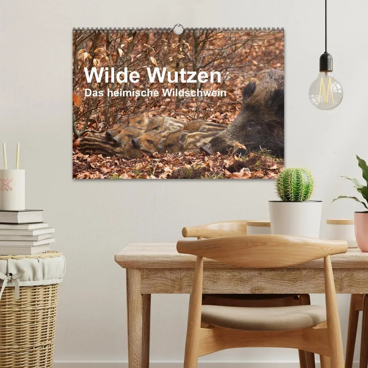 Bild: 9783594010358 | Wilde Wutzen. Das heimische Wildschwein (Wandkalender 2027 DIN A3...