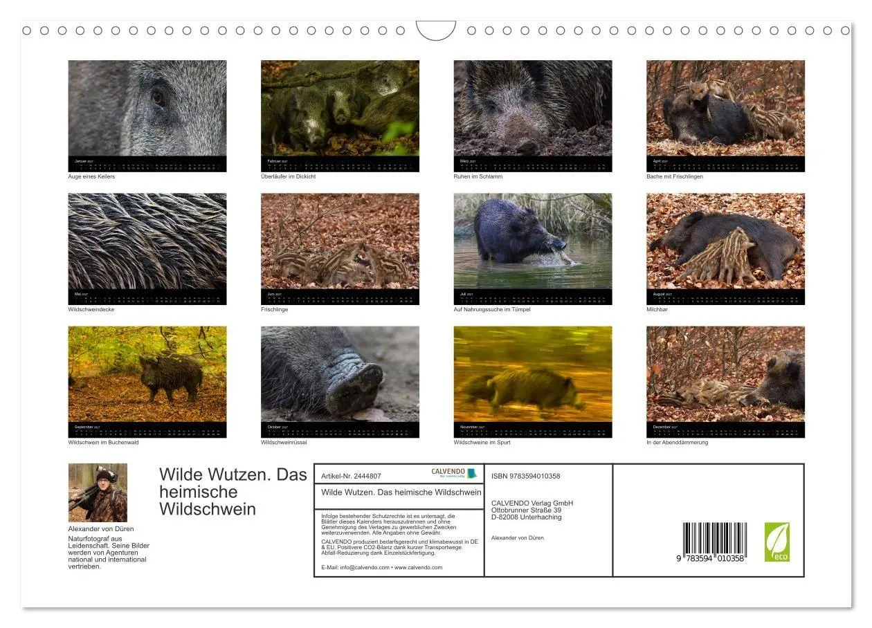 Bild: 9783594010358 | Wilde Wutzen. Das heimische Wildschwein (Wandkalender 2027 DIN A3...