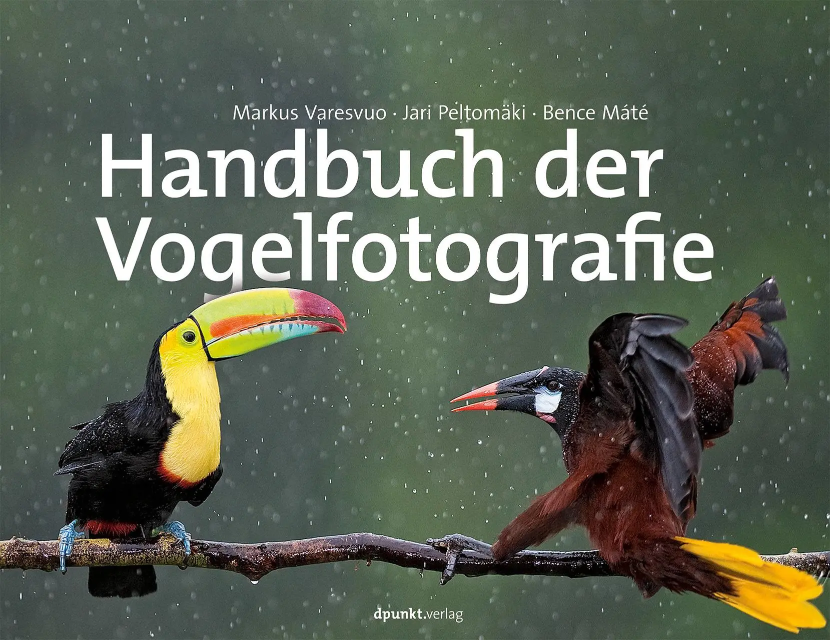 Cover: 9783864900358 | Handbuch der Vogelfotografie | Markus Varesvuo (u. a.) | Buch | VII