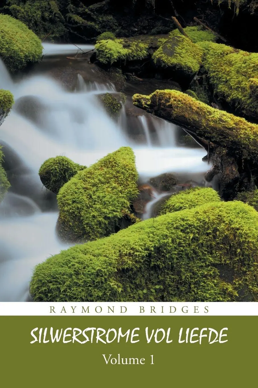 Cover: 9781496980458 | Silwerstrome Vol Liefde | Volume 1 | Raymond Bridges | Taschenbuch