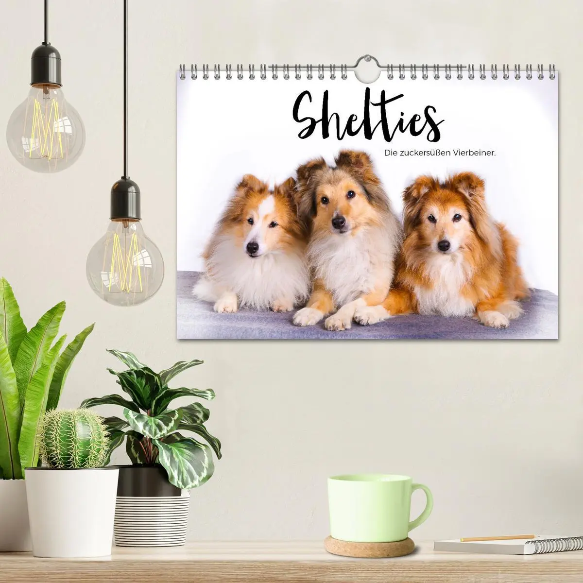 Bild: 9783457540558 | Shelties - Die zuckersüßen Vierbeiner. (Wandkalender 2026 DIN A4...