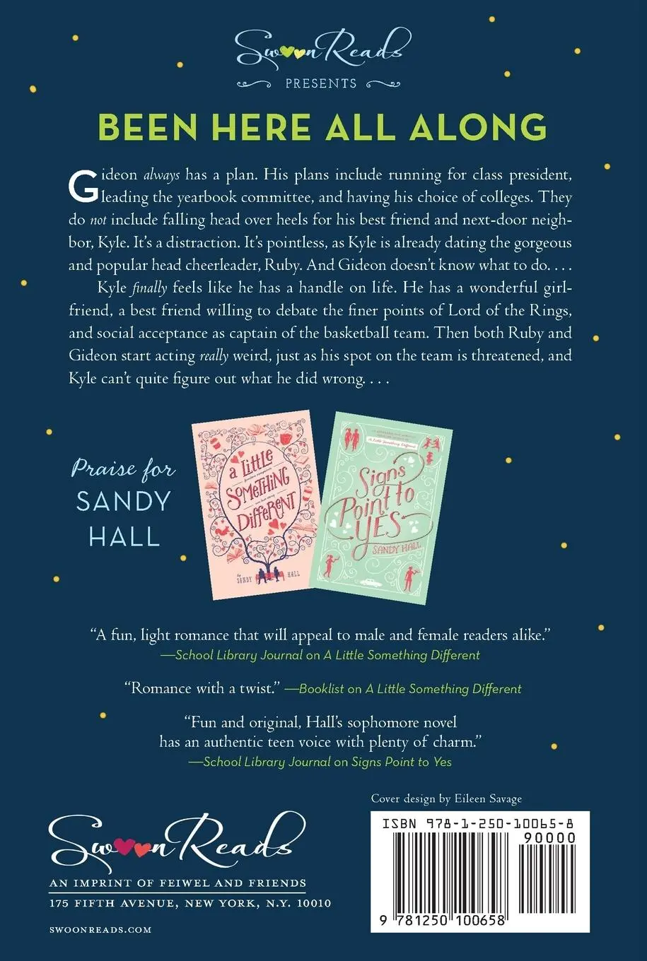Rückseite: 9781250100658 | Been Here All Along | Sandy Hall | Taschenbuch | Englisch | 2016