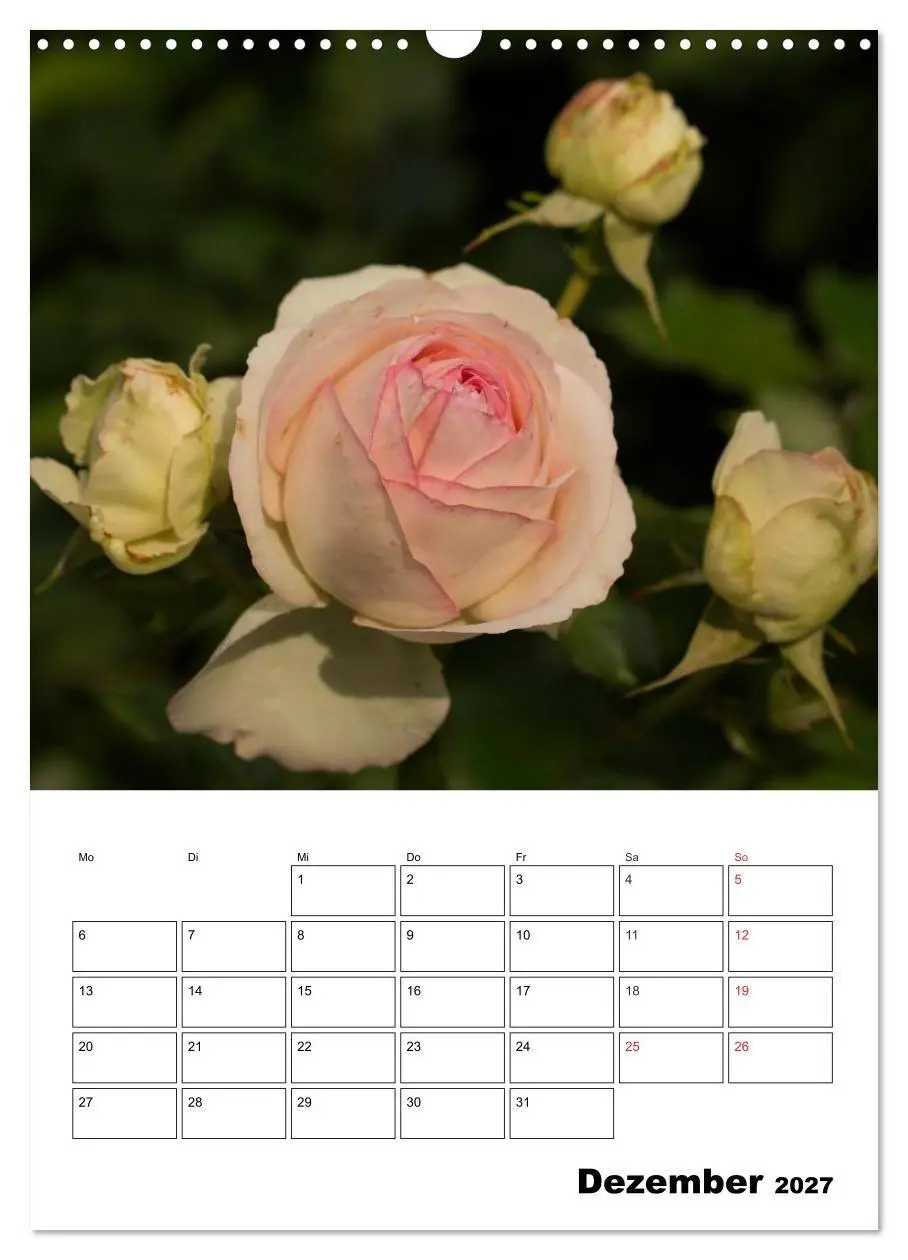 Bild: 9783569950658 | Zauberhafte Rosen (Wandkalender 2027 DIN A3 hoch), CALVENDO...