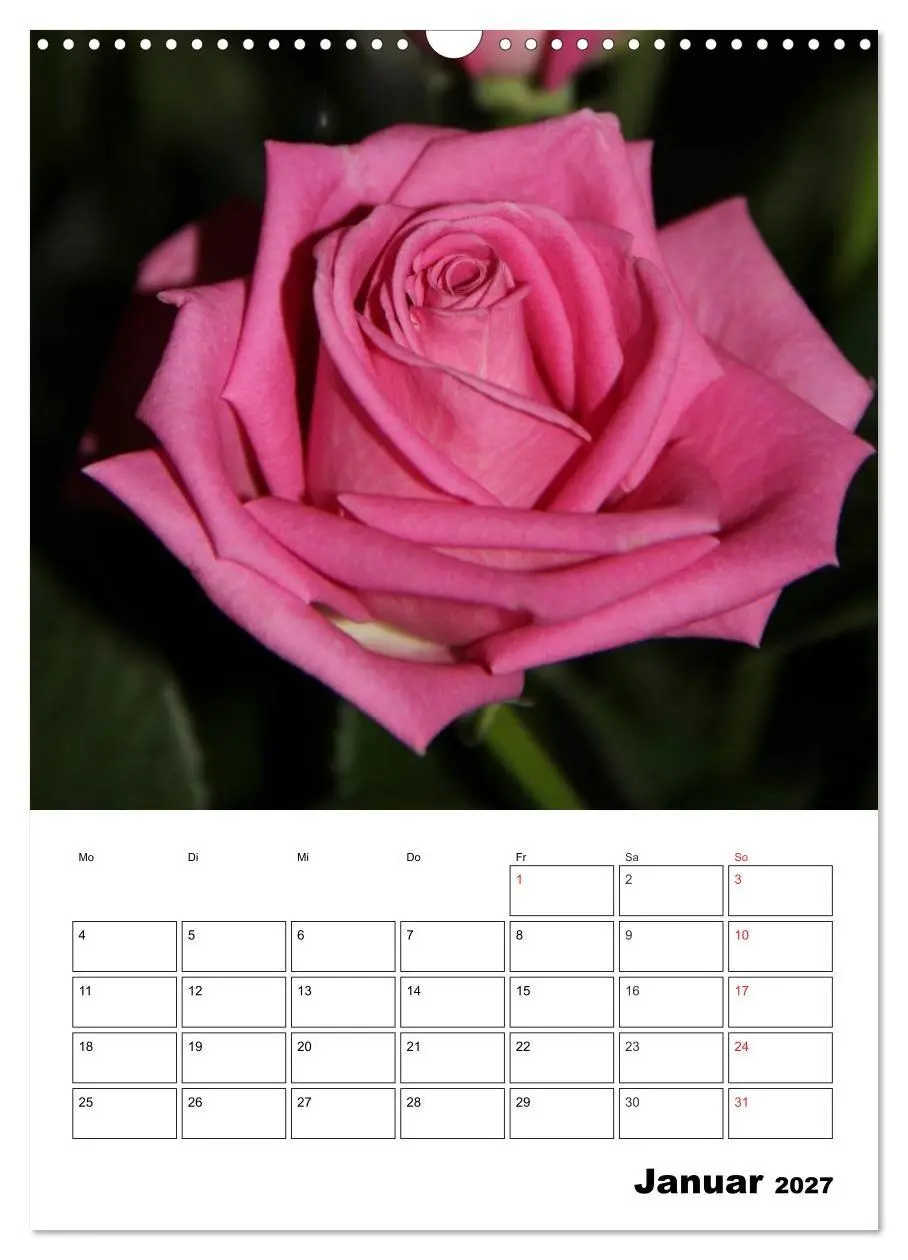 Bild: 9783569950658 | Zauberhafte Rosen (Wandkalender 2027 DIN A3 hoch), CALVENDO...
