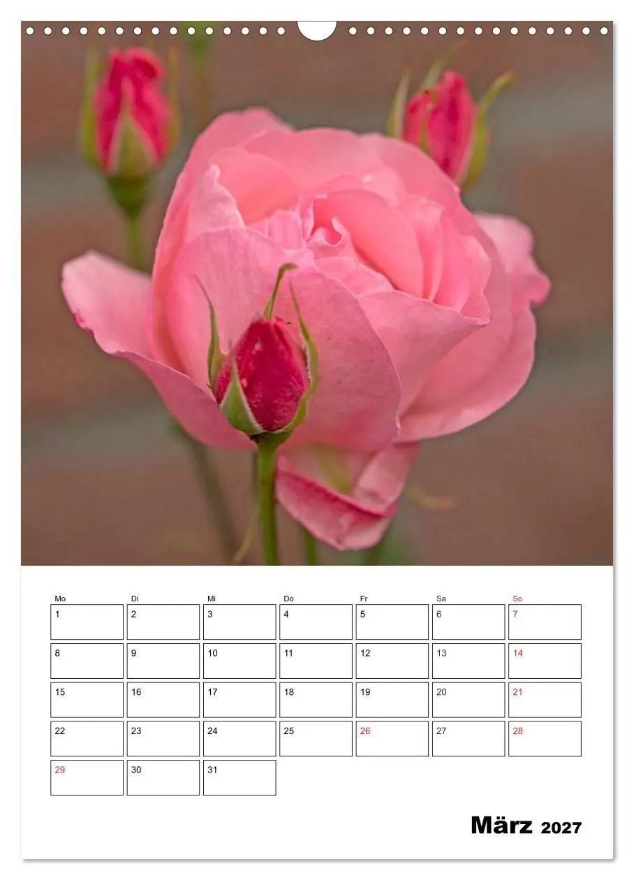 Bild: 9783569950658 | Zauberhafte Rosen (Wandkalender 2027 DIN A3 hoch), CALVENDO...