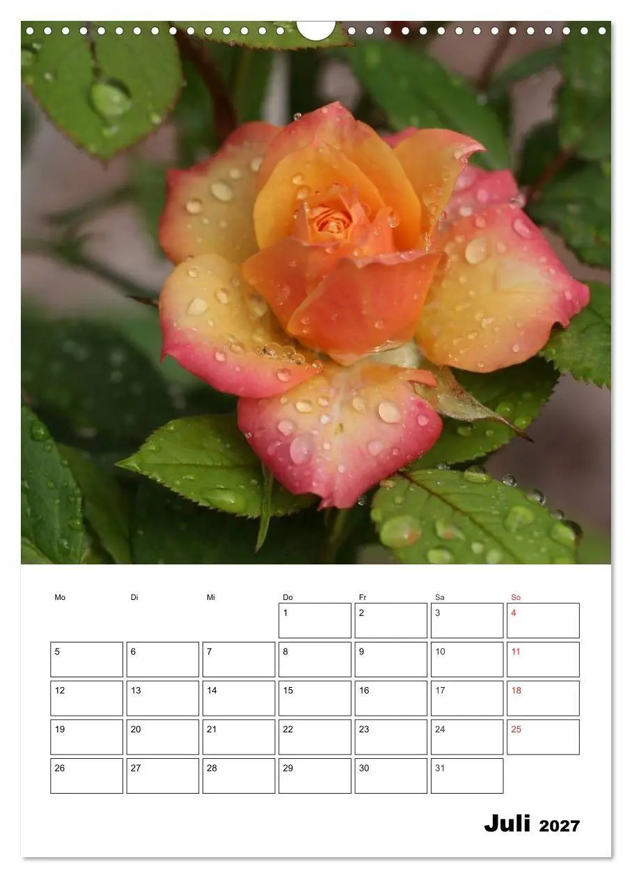 Bild: 9783569950658 | Zauberhafte Rosen (Wandkalender 2027 DIN A3 hoch), CALVENDO...