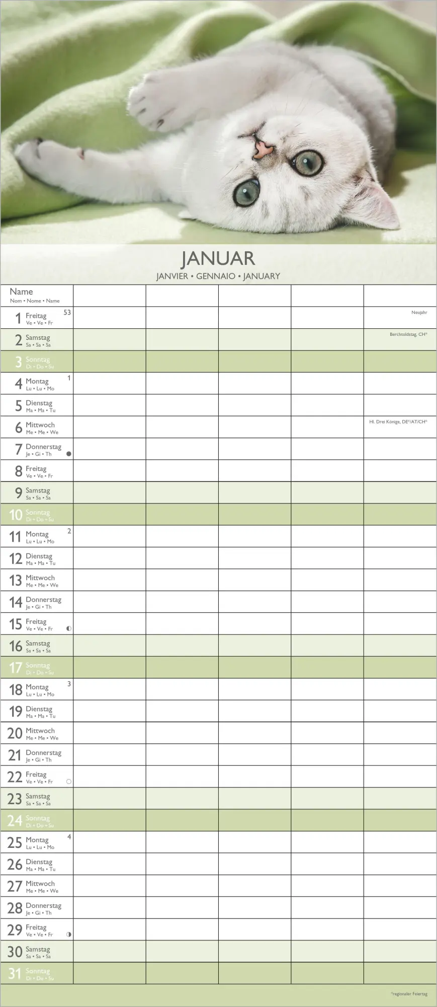 Bild: 4069095010758 | Kätzchen 2027 | Neumann Verlage GmbH &amp; Co KG | Kalender | 14 S. | 2027