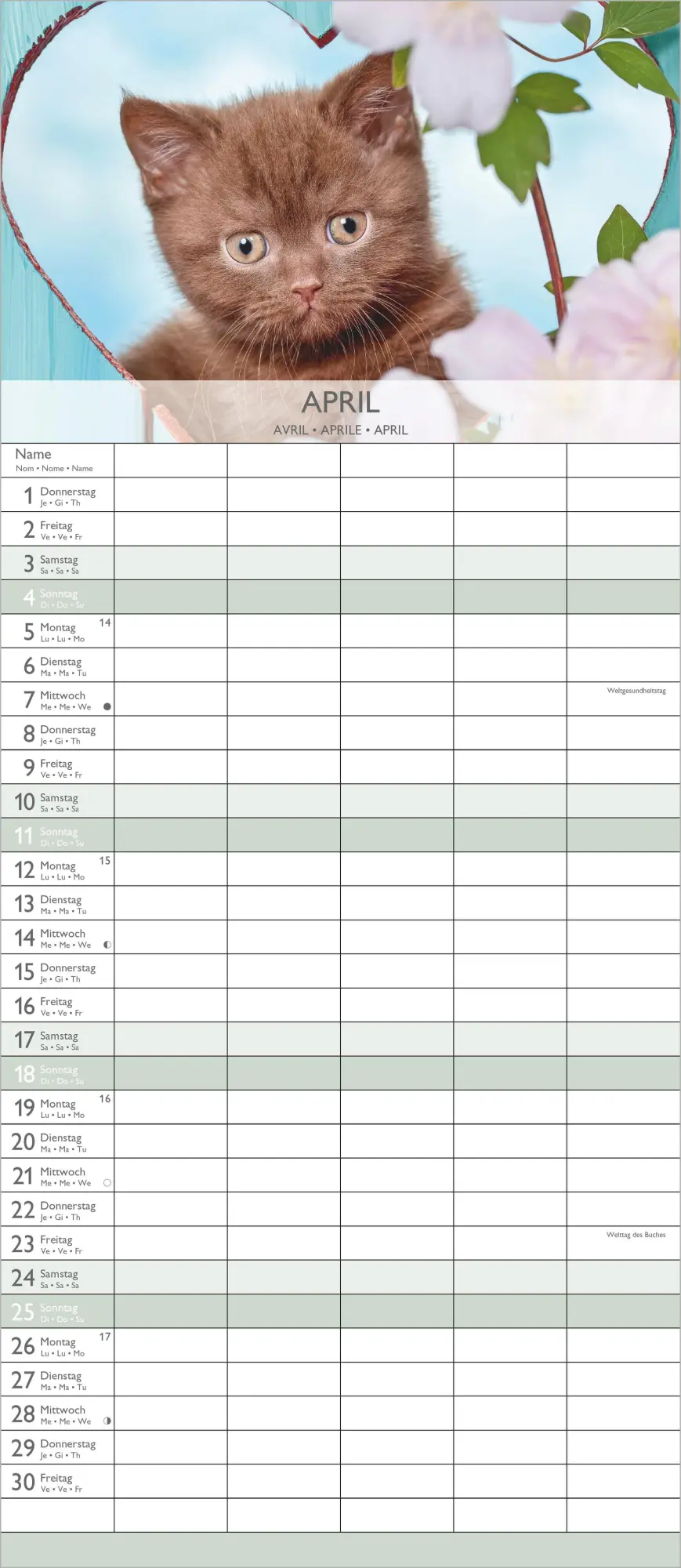 Bild: 4069095010758 | Kätzchen 2027 | Neumann Verlage GmbH &amp; Co KG | Kalender | 14 S. | 2027