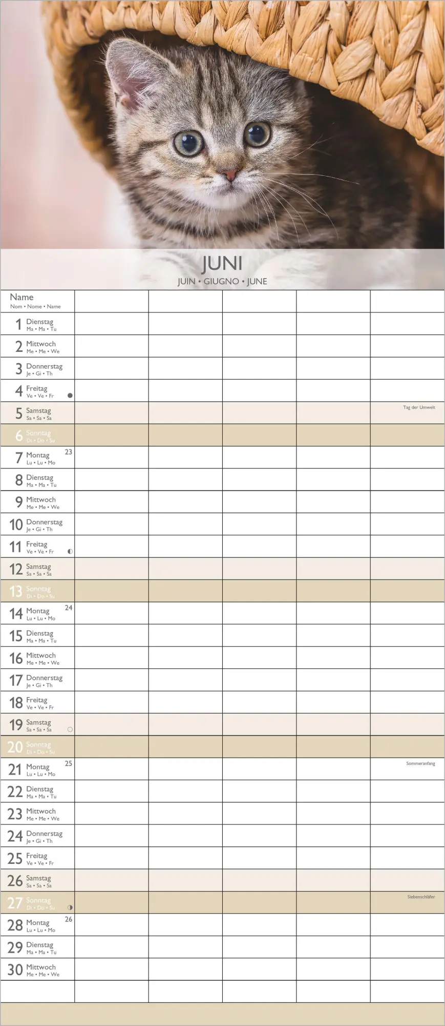 Bild: 4069095010758 | Kätzchen 2027 | Neumann Verlage GmbH &amp; Co KG | Kalender | 14 S. | 2027
