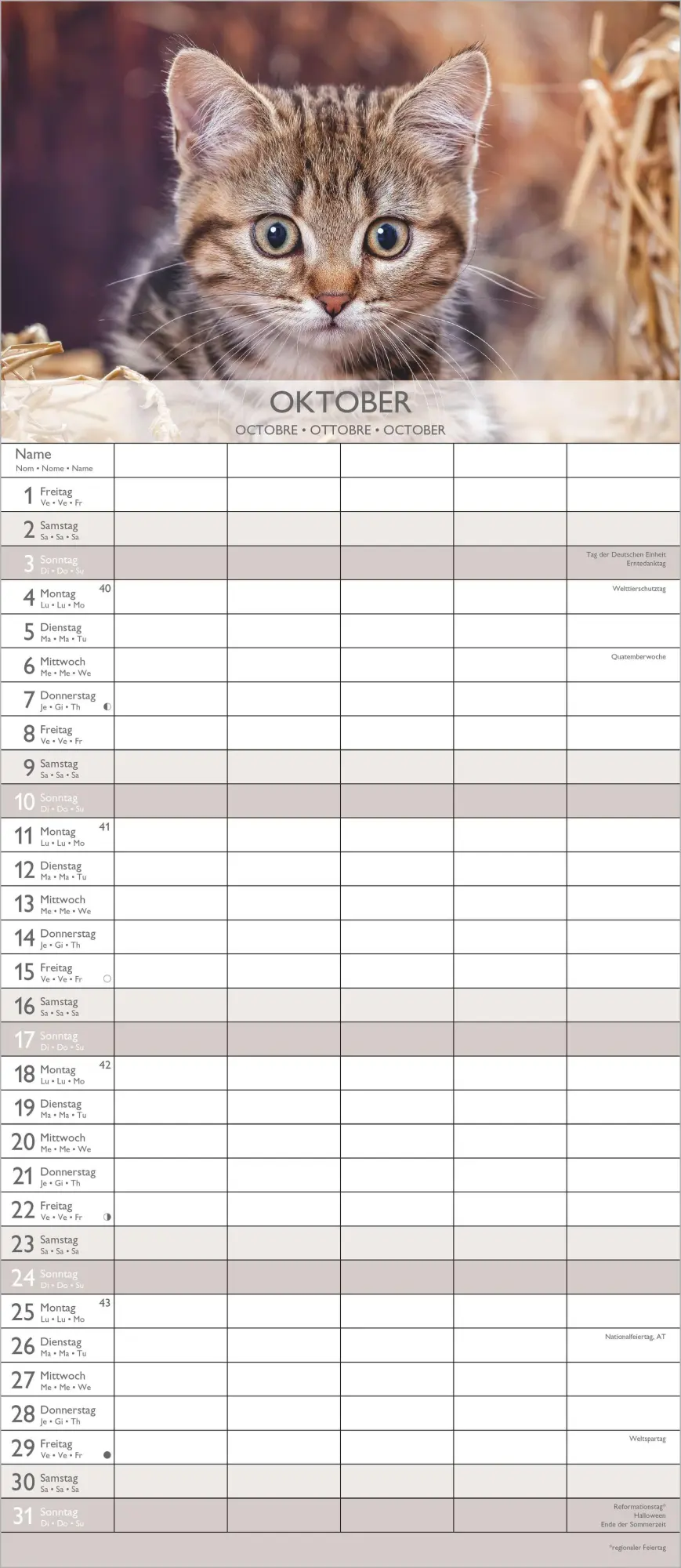 Bild: 4069095010758 | Kätzchen 2027 | Neumann Verlage GmbH &amp; Co KG | Kalender | 14 S. | 2027