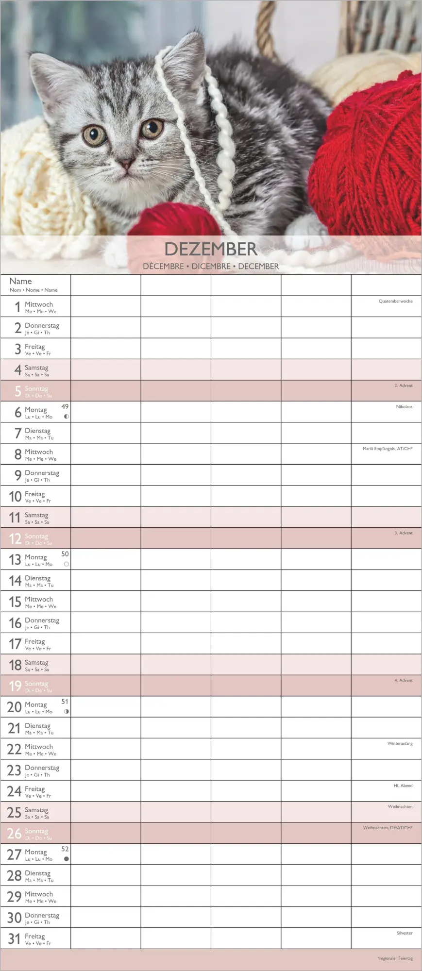 Bild: 4069095010758 | Kätzchen 2027 | Neumann Verlage GmbH &amp; Co KG | Kalender | 14 S. | 2027