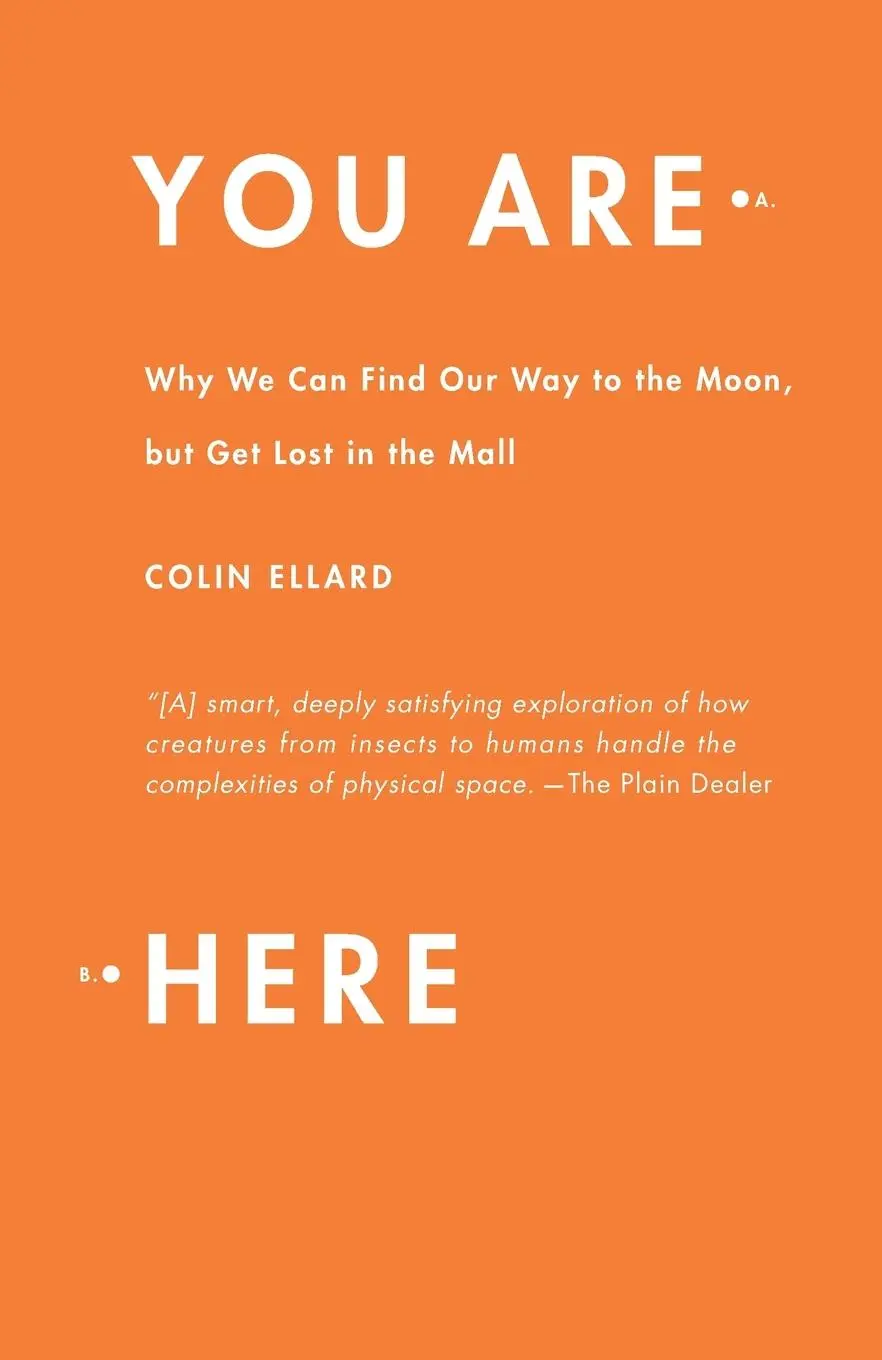 Cover: 9780767930758 | You Are Here | Colin Ellard | Taschenbuch | Einband - flex.(Paperback)