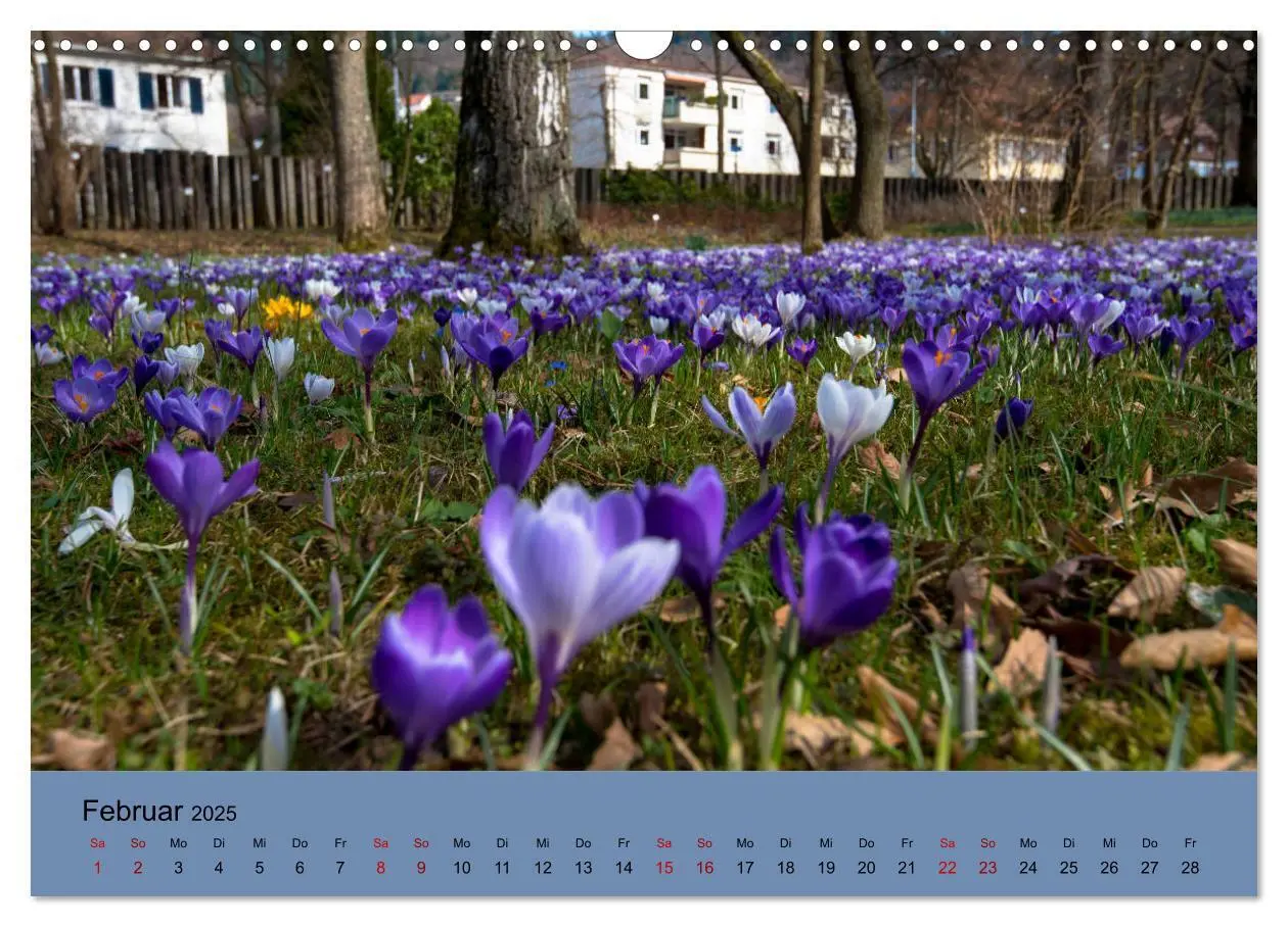 Bild: 9783435360758 | Wundervolles Freiburg (Wandkalender 2025 DIN A3 quer), CALVENDO...