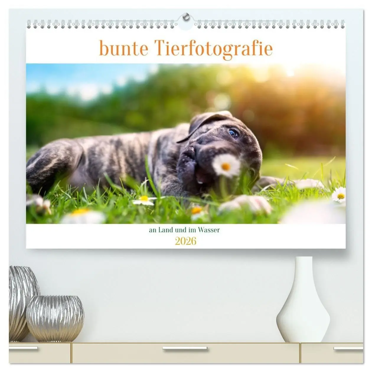 Cover: 9783457380758 | bunte Tierfotografie an Land und im Wasser (hochwertiger Premium...