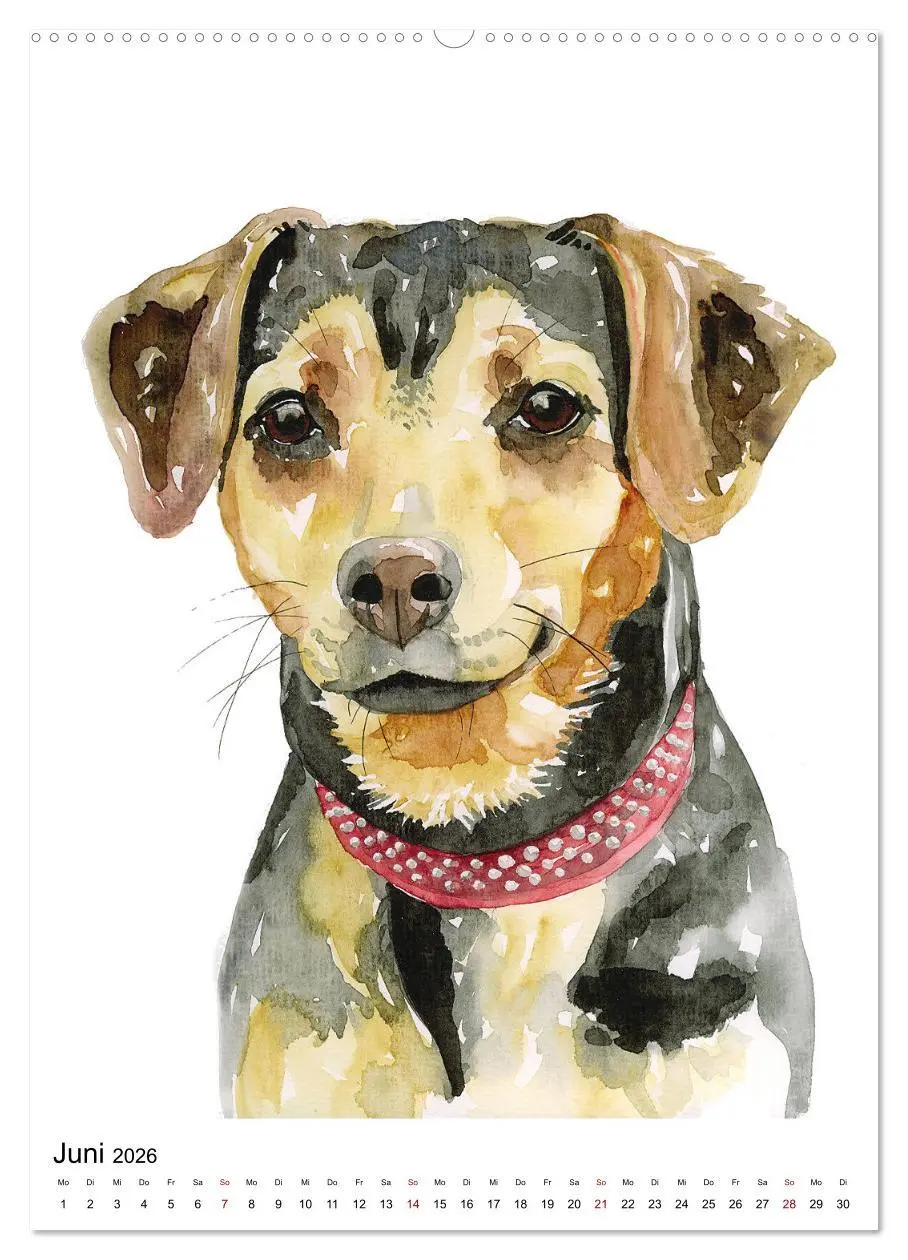 Bild: 9783516300758 | Hunde Porträts in Aquarell (hochwertiger Premium Wandkalender 2026...