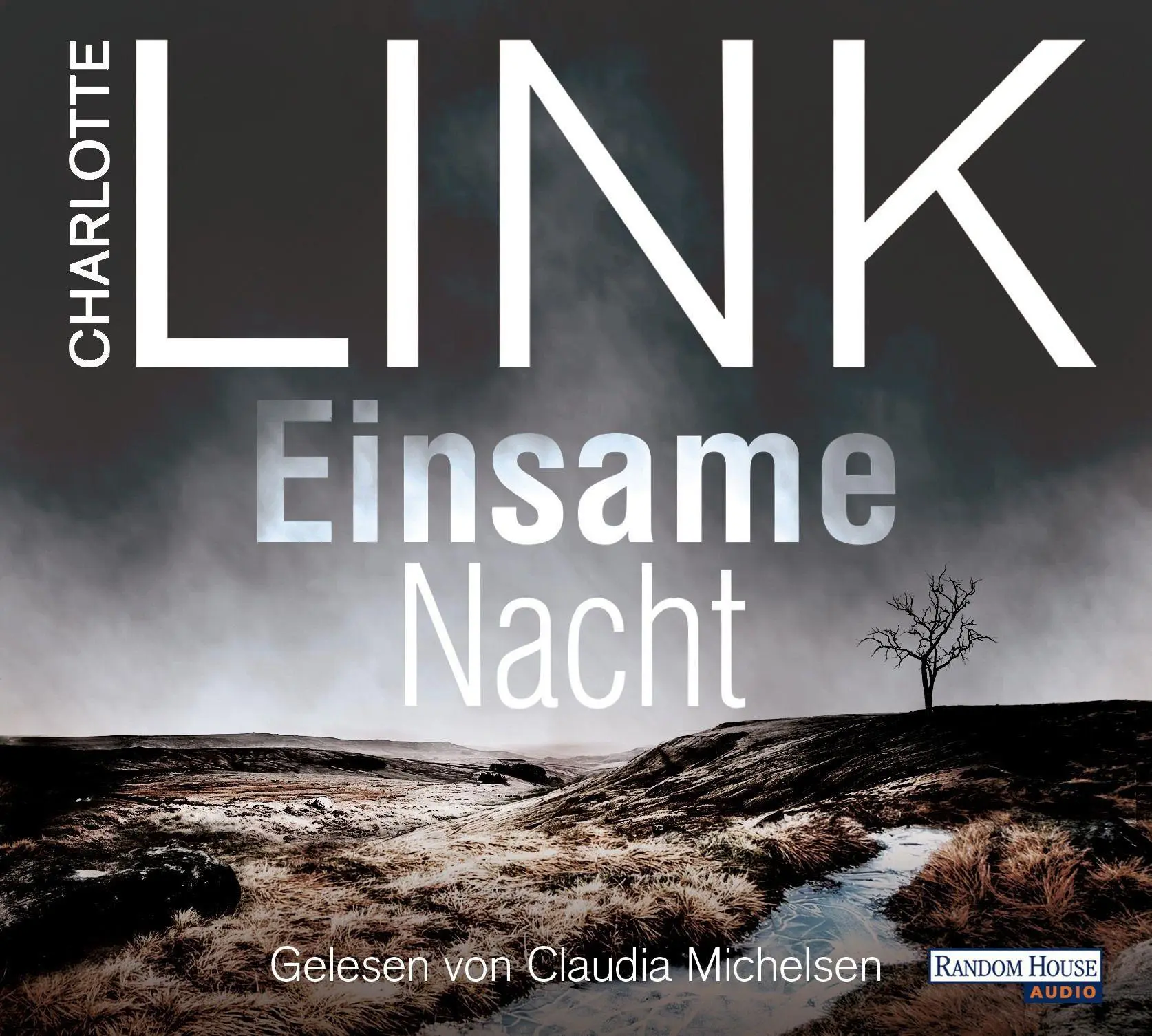 Cover: 9783837160758 | Einsame Nacht | Ein Kate-Linville-Thriller | Charlotte Link | Audio-CD