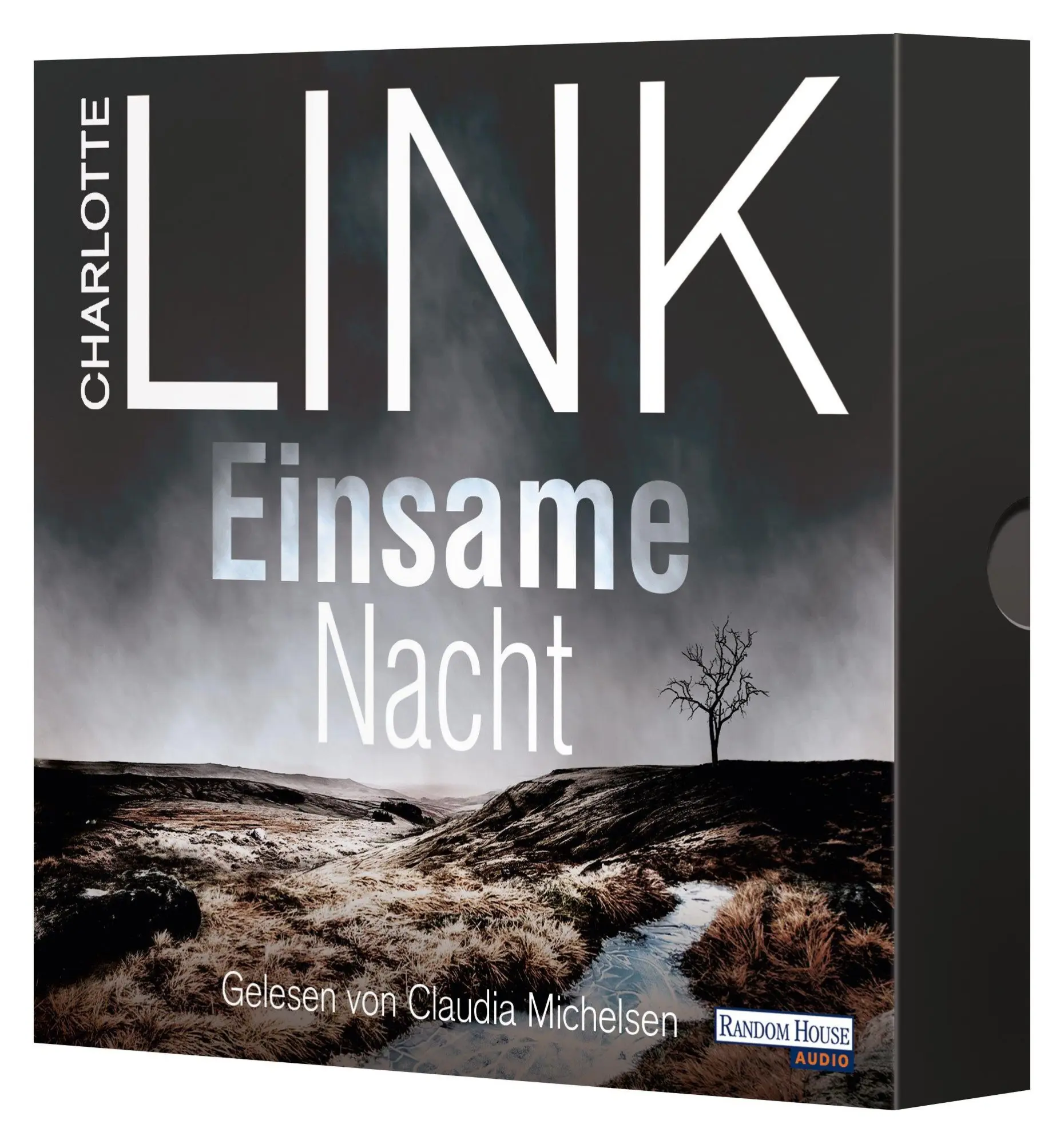 Bild: 9783837160758 | Einsame Nacht | Ein Kate-Linville-Thriller | Charlotte Link | Audio-CD