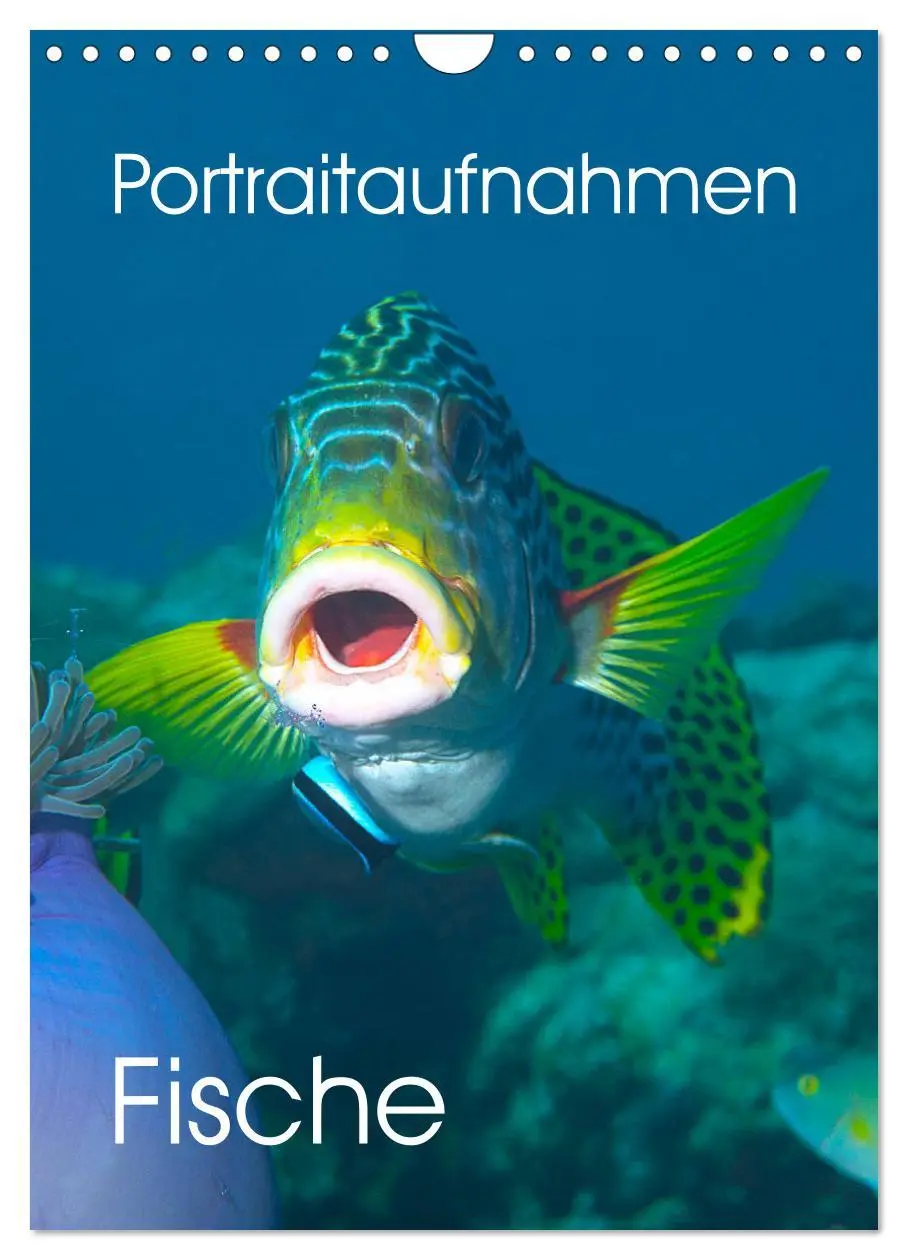 Cover: 9783516390858 | Portraitaufnahmen - Fische (Wandkalender 2026 DIN A4 hoch),...