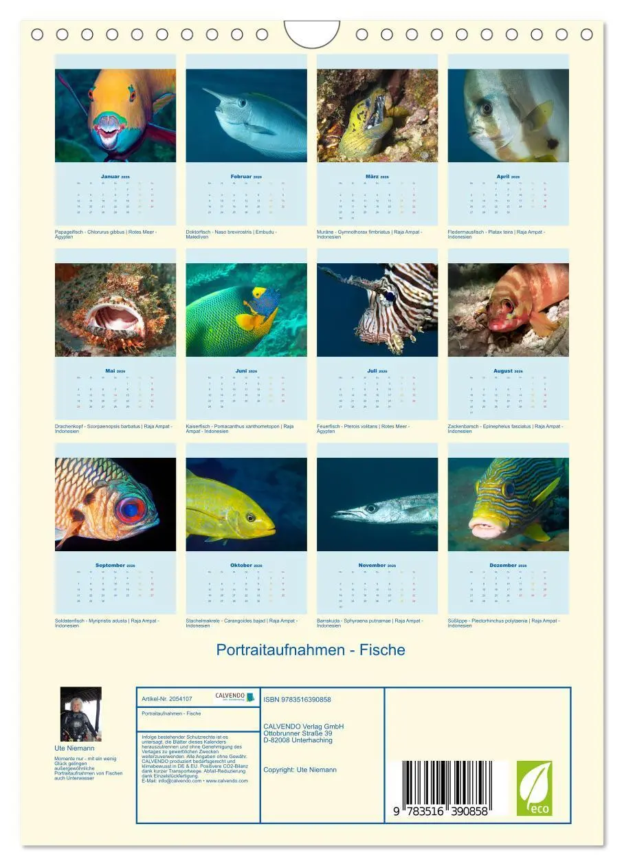 Bild: 9783516390858 | Portraitaufnahmen - Fische (Wandkalender 2026 DIN A4 hoch),...