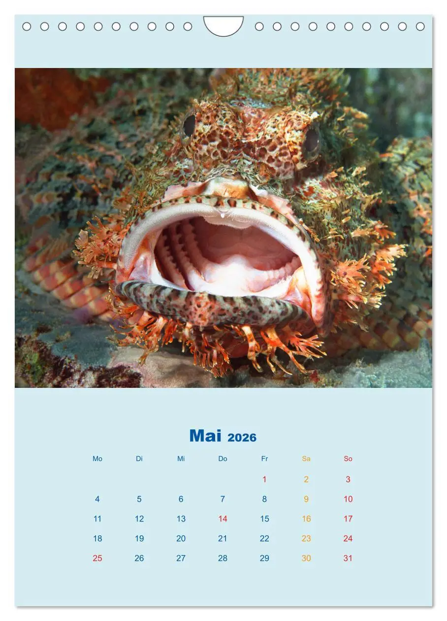 Bild: 9783516390858 | Portraitaufnahmen - Fische (Wandkalender 2026 DIN A4 hoch),...