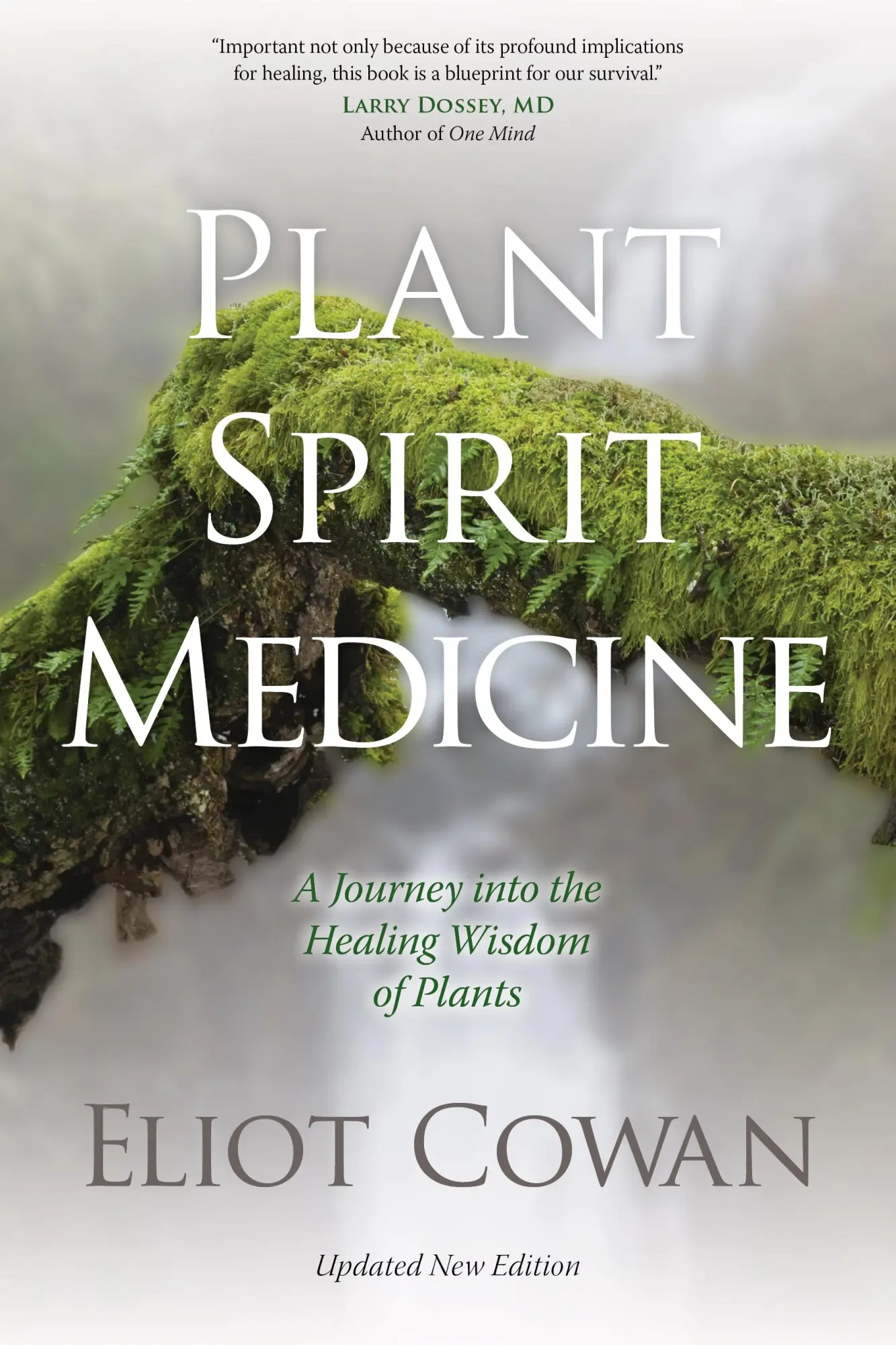 Cover: 9781622030958 | Plant Spirit Medicine | A Journey Into the Healing Wisdom of Plants