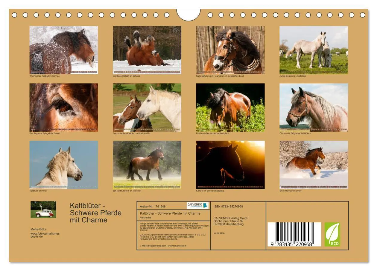 Bild: 9783435270958 | Kaltblüter - Schwere Pferde mit Charme (Wandkalender 2025 DIN A4...