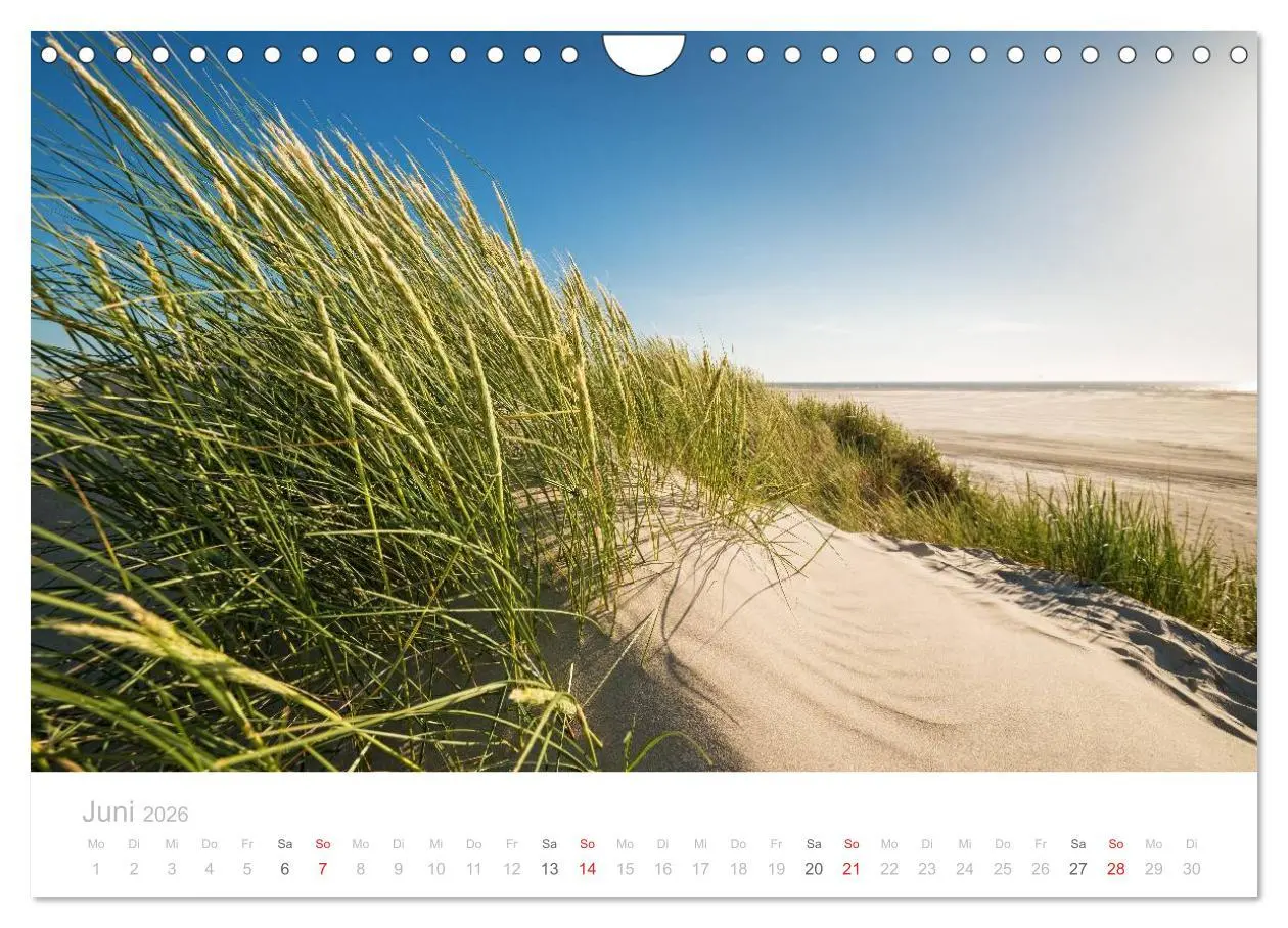 Bild: 9783516070958 | St. Peter-Ording (Wandkalender 2026 DIN A4 quer), CALVENDO...