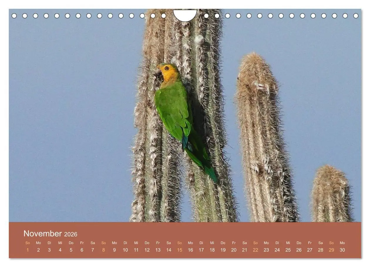Bild: 9783516210958 | ABC: Aruba - Bonaire - Curaçao (Wandkalender 2026 DIN A4 quer),...