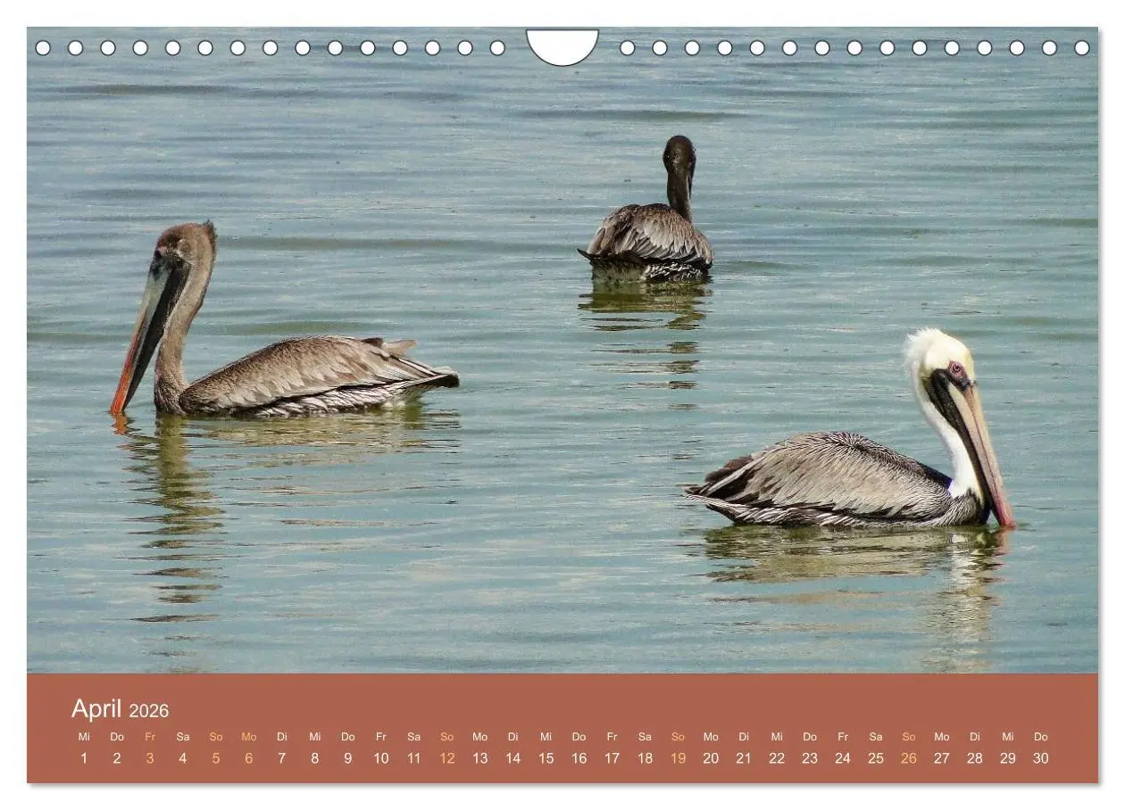 Bild: 9783516210958 | ABC: Aruba - Bonaire - Curaçao (Wandkalender 2026 DIN A4 quer),...