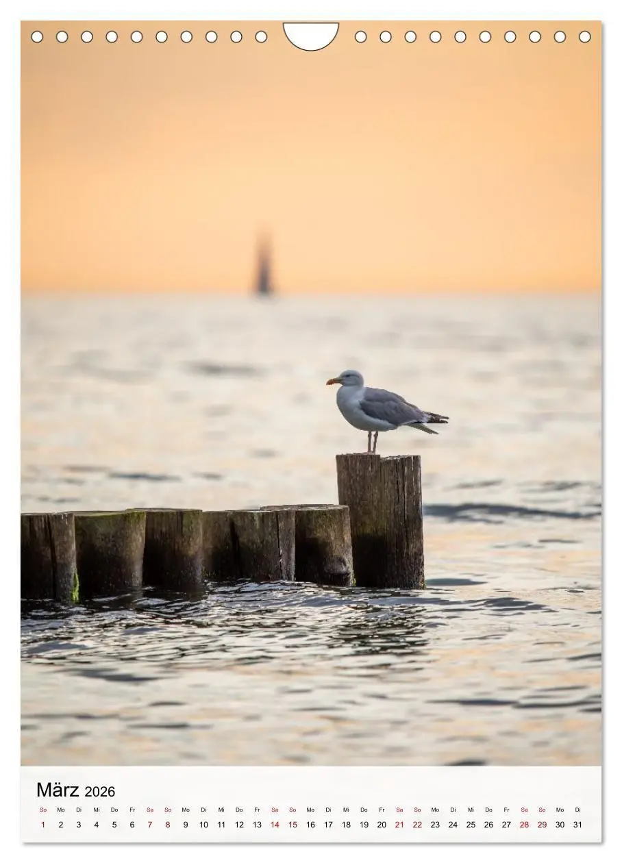 Bild: 9783516690958 | Fischland-Darß-Zingst - Im Licht des Nordens (Wandkalender 2026 DIN...