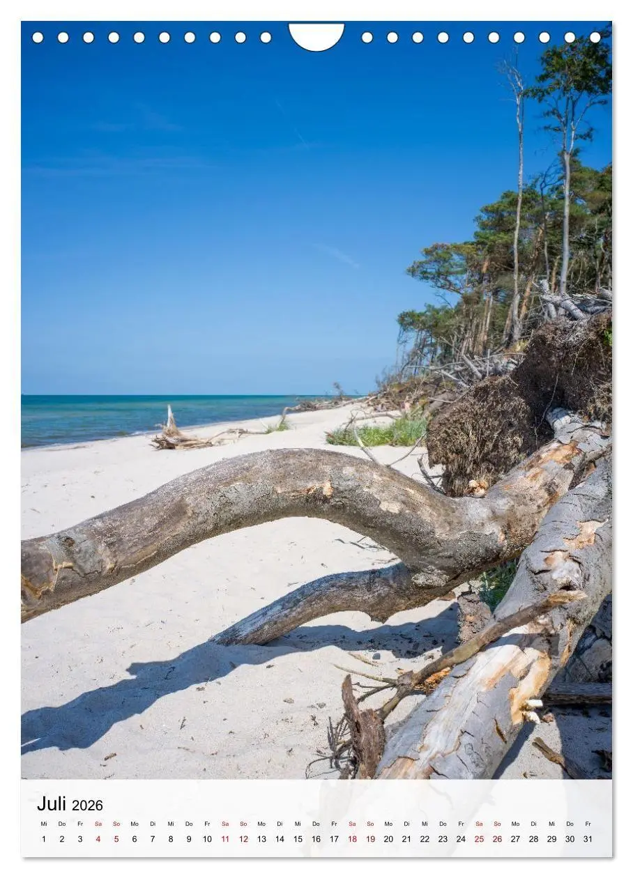 Bild: 9783516690958 | Fischland-Darß-Zingst - Im Licht des Nordens (Wandkalender 2026 DIN...