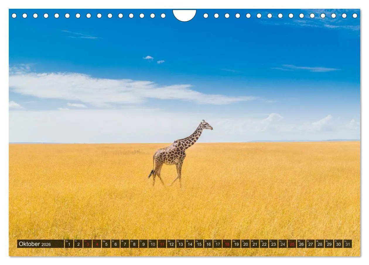 Bild: 9783516021158 | Ostafrika (Wandkalender 2026 DIN A4 quer), CALVENDO Monatskalender