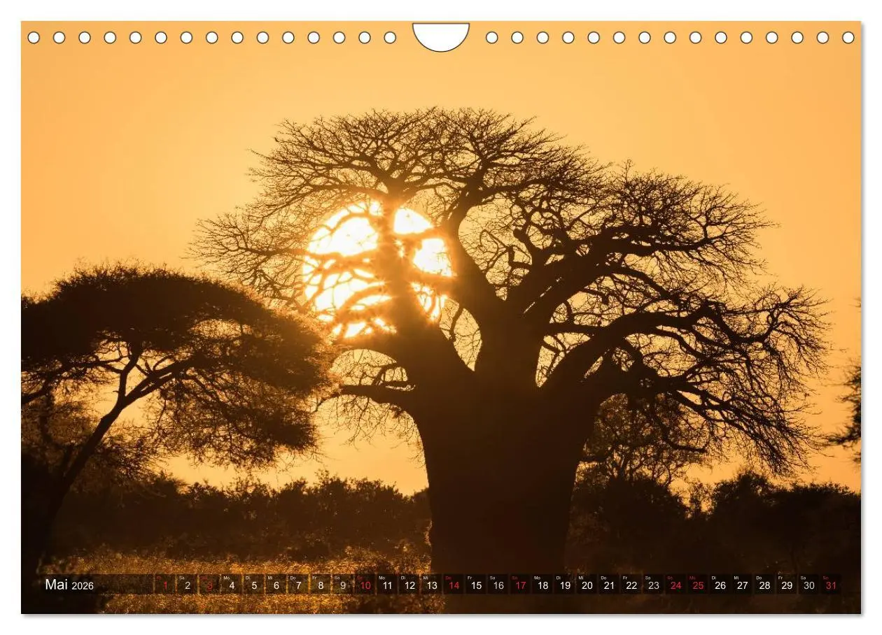 Bild: 9783516021158 | Ostafrika (Wandkalender 2026 DIN A4 quer), CALVENDO Monatskalender