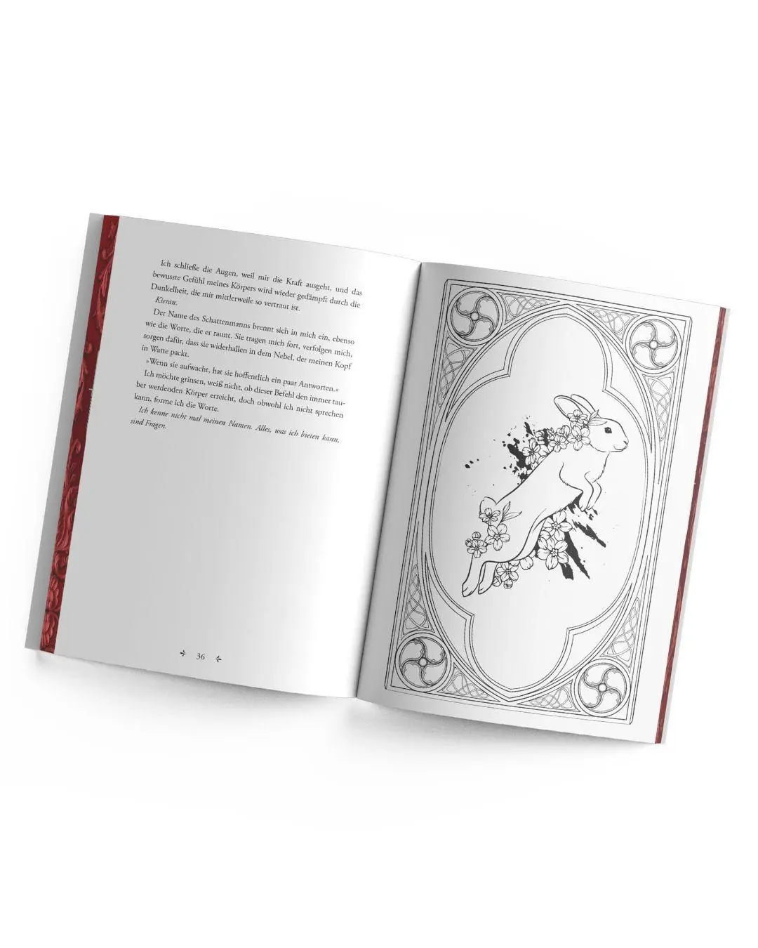 Bild: 9783691401158 | Vivere - Lebe für uns | Isabelle North | Taschenbuch | 400 S. | 2026