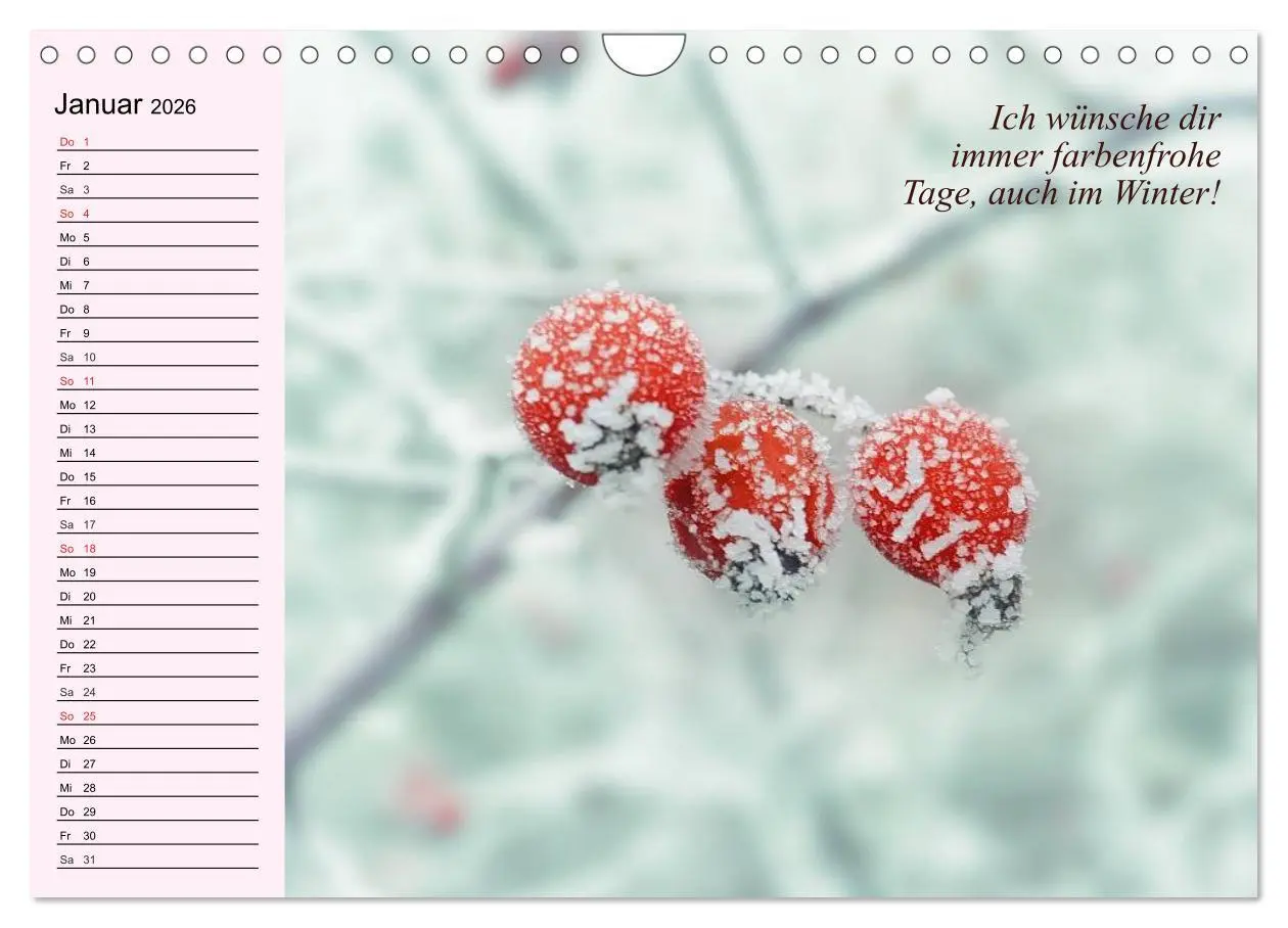 Bild: 9783516011258 | Der Freundinnen-Kalender. Was ich mir für dich wünsche!...
