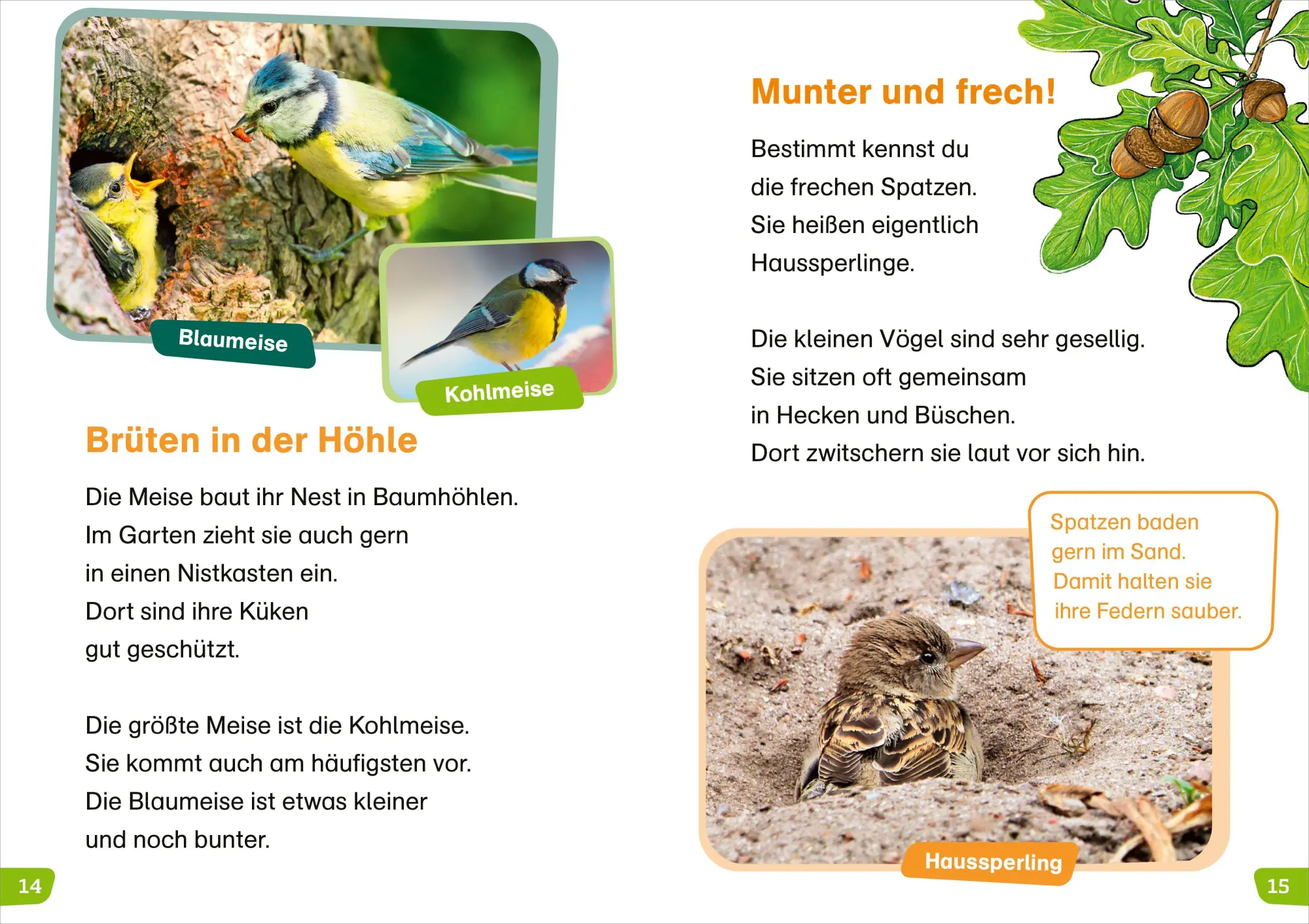 Bild: 9783788681258 | WAS IST WAS Erstes Lesen easy! Wie leben unsere Vögel? | Meierjürgen