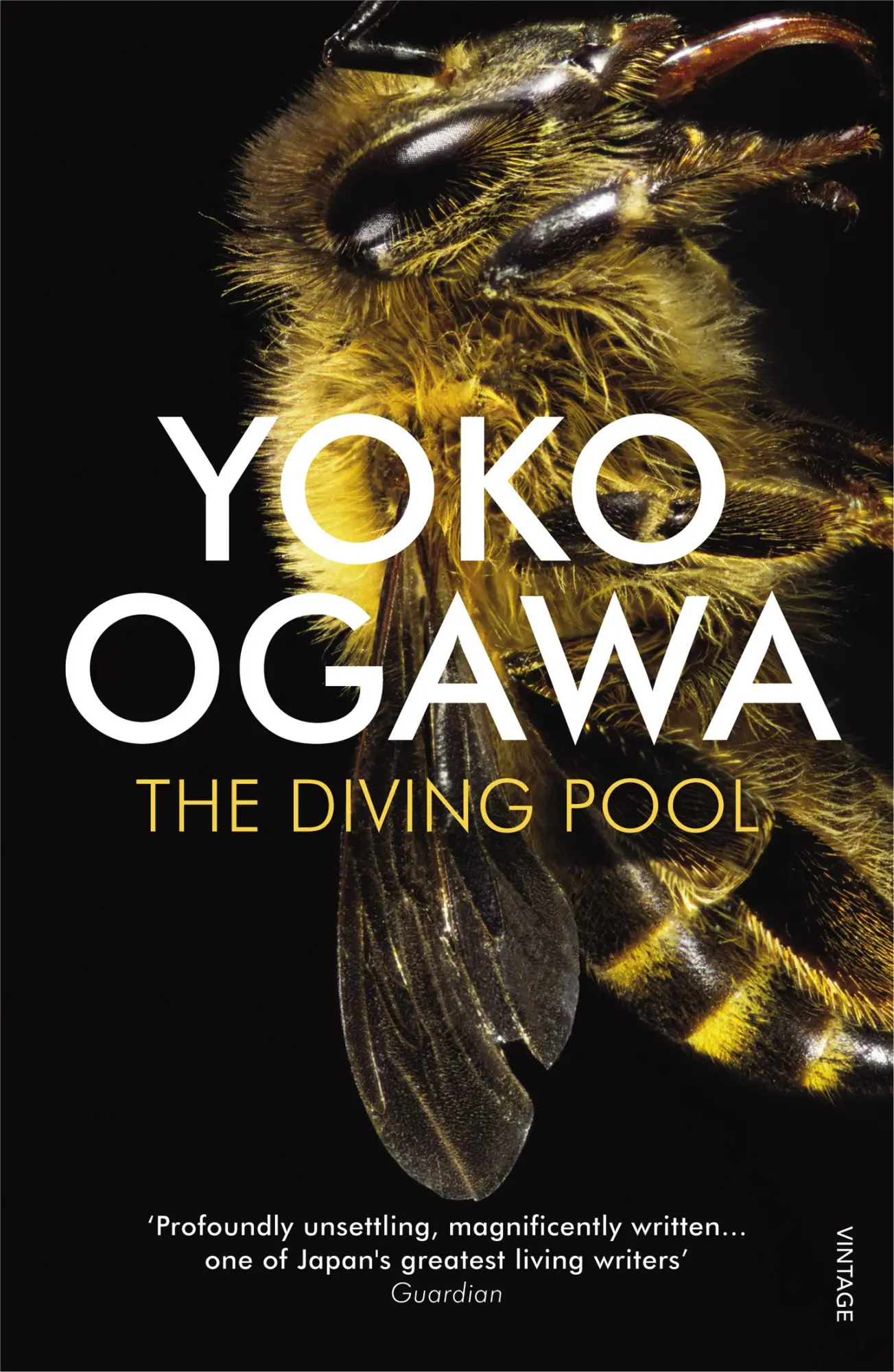 Cover: 9780099521358 | The Diving Pool | Yoko Ogawa | Taschenbuch | Kartoniert / Broschiert